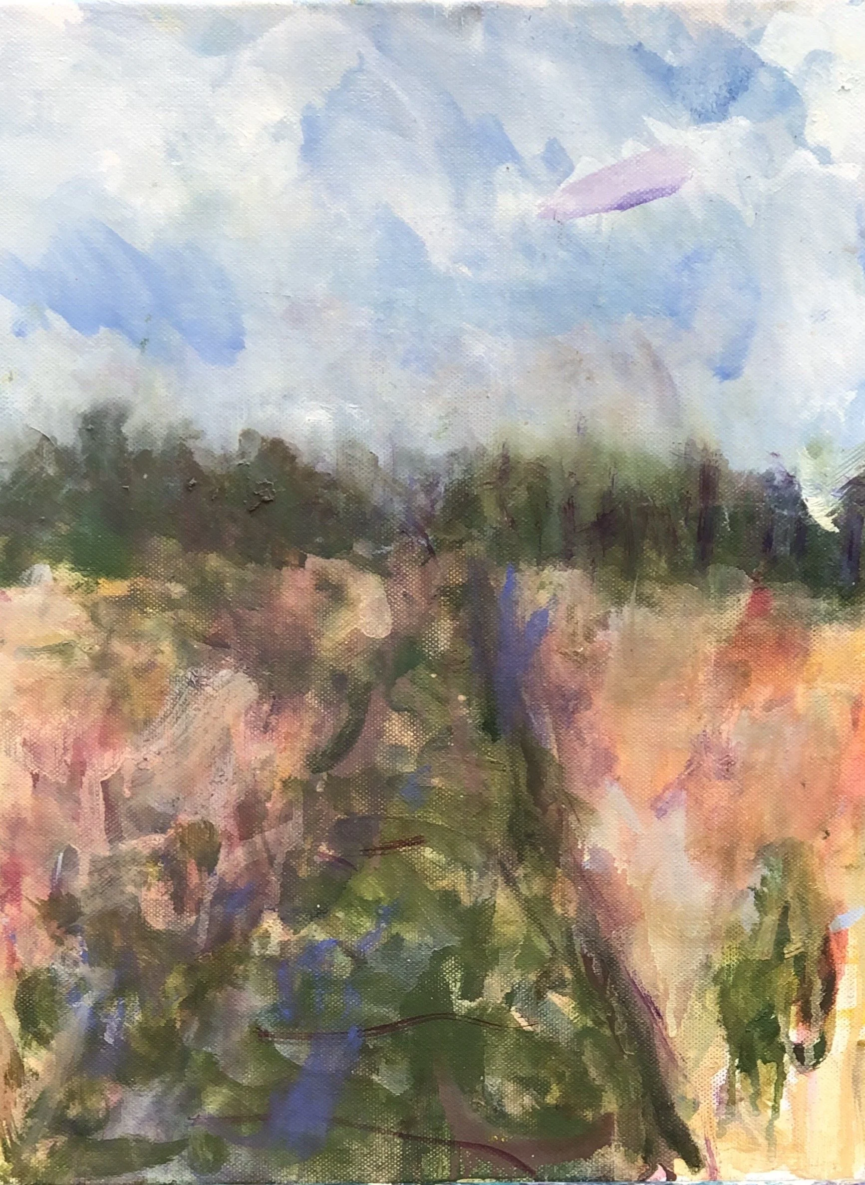 L 001 Land 007 OOC.jpg