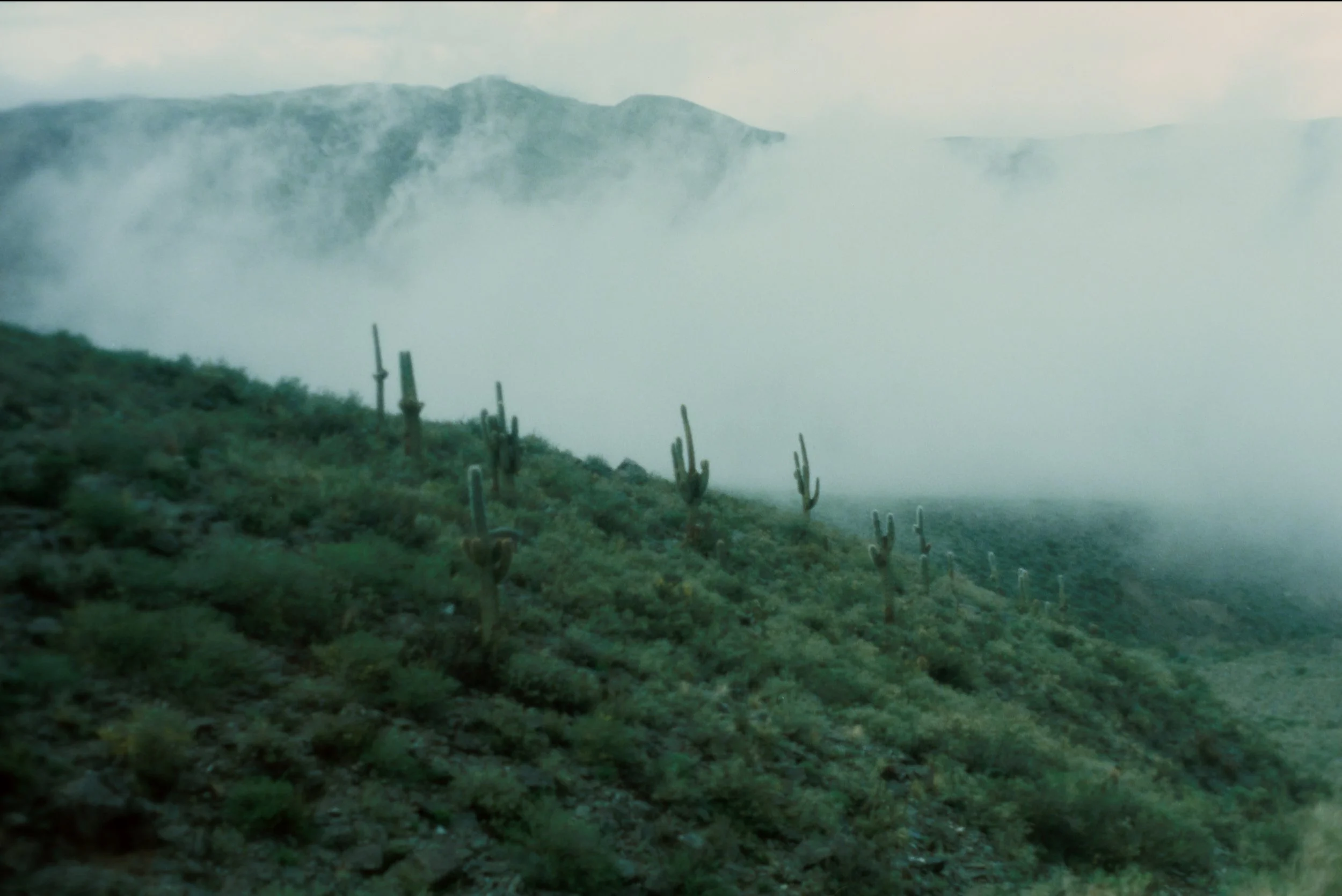 Still 2026-03-03 152001_2.11.1.jpeg