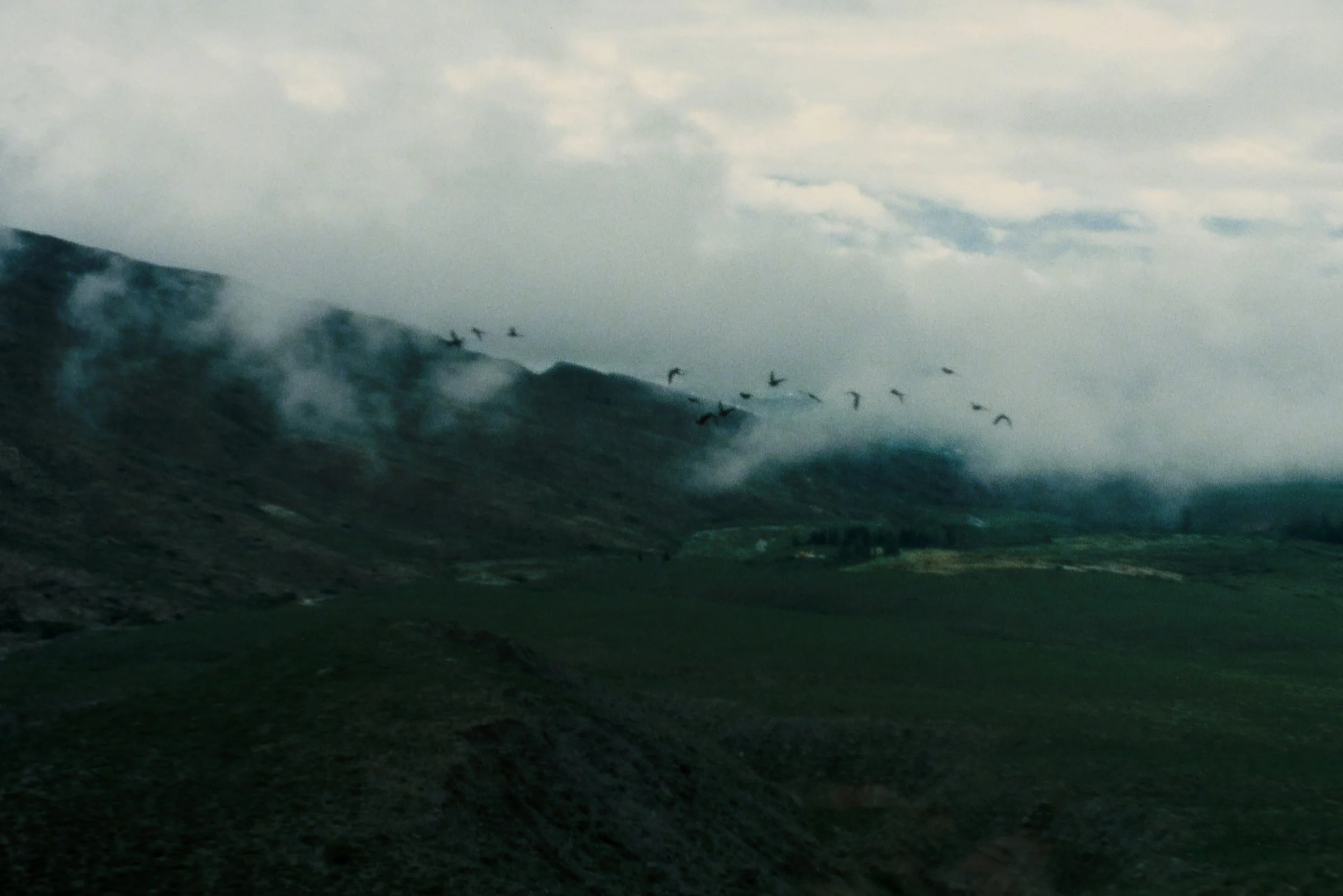 Still 2026-03-03 152001_2.9.1.jpeg