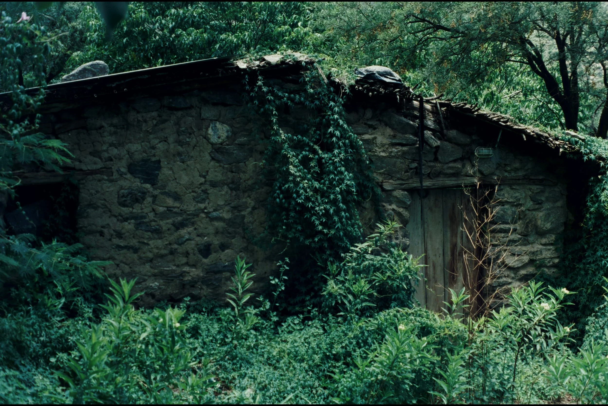 Still 2026-03-03 152001_1.117.1.jpeg