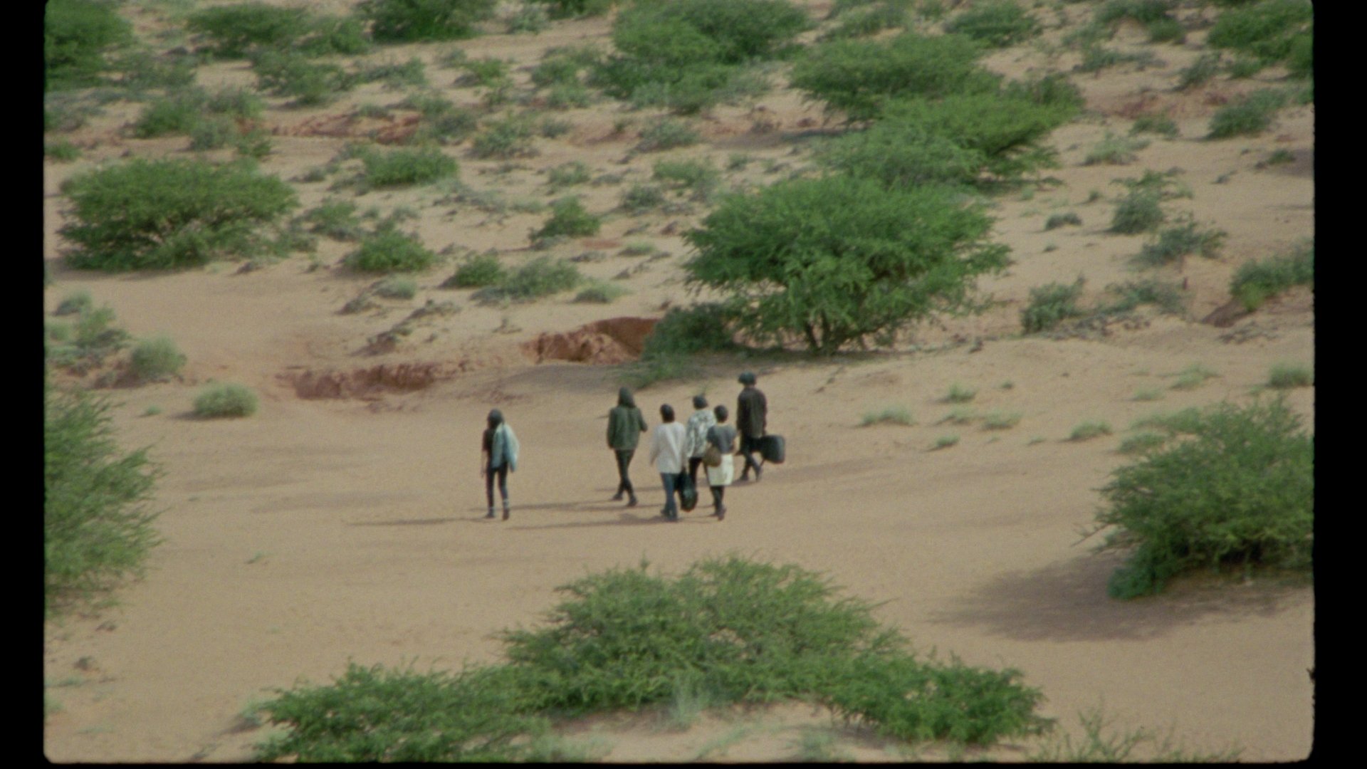 Still 2026-01-30 165722_3.3.2.jpg