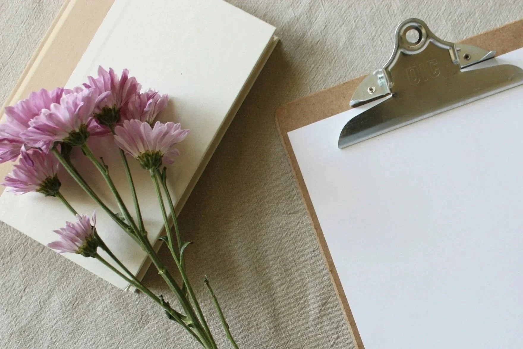 Pink flowers with green stems on a notebook, with blank papers and a clipboard on a beige surface.
