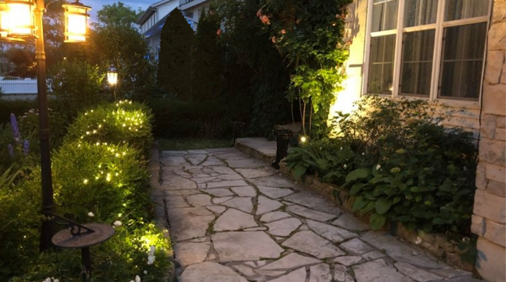 Front+Pathway.png.webp
