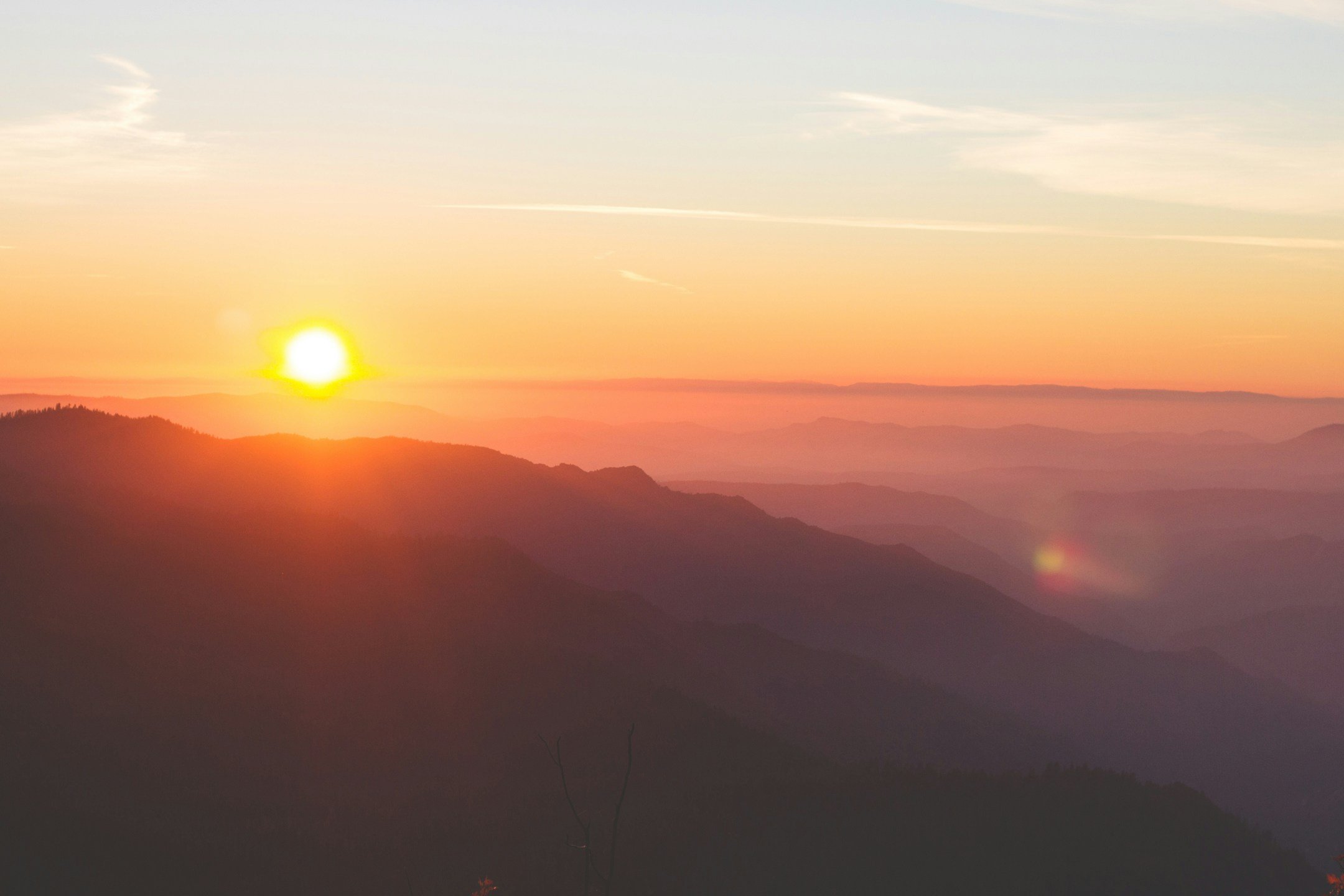unsplash-image-ZBD7Wh3SJEI.jpg