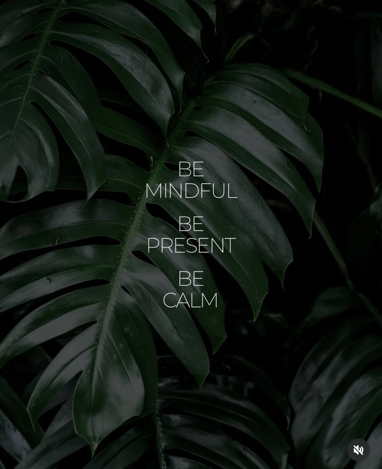 Dark green tropical leaves with an inspirational quote in white text: 'Be mindful, be present, be calm'