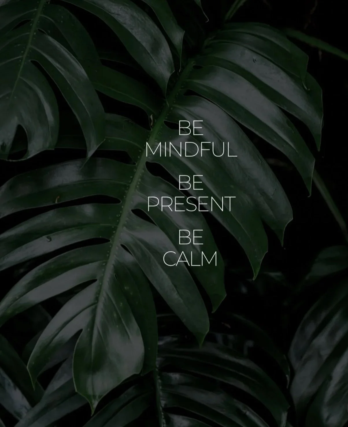Dark green tropical leaves with inspirational quote overlaid: "Be mindful, be present, be calm."