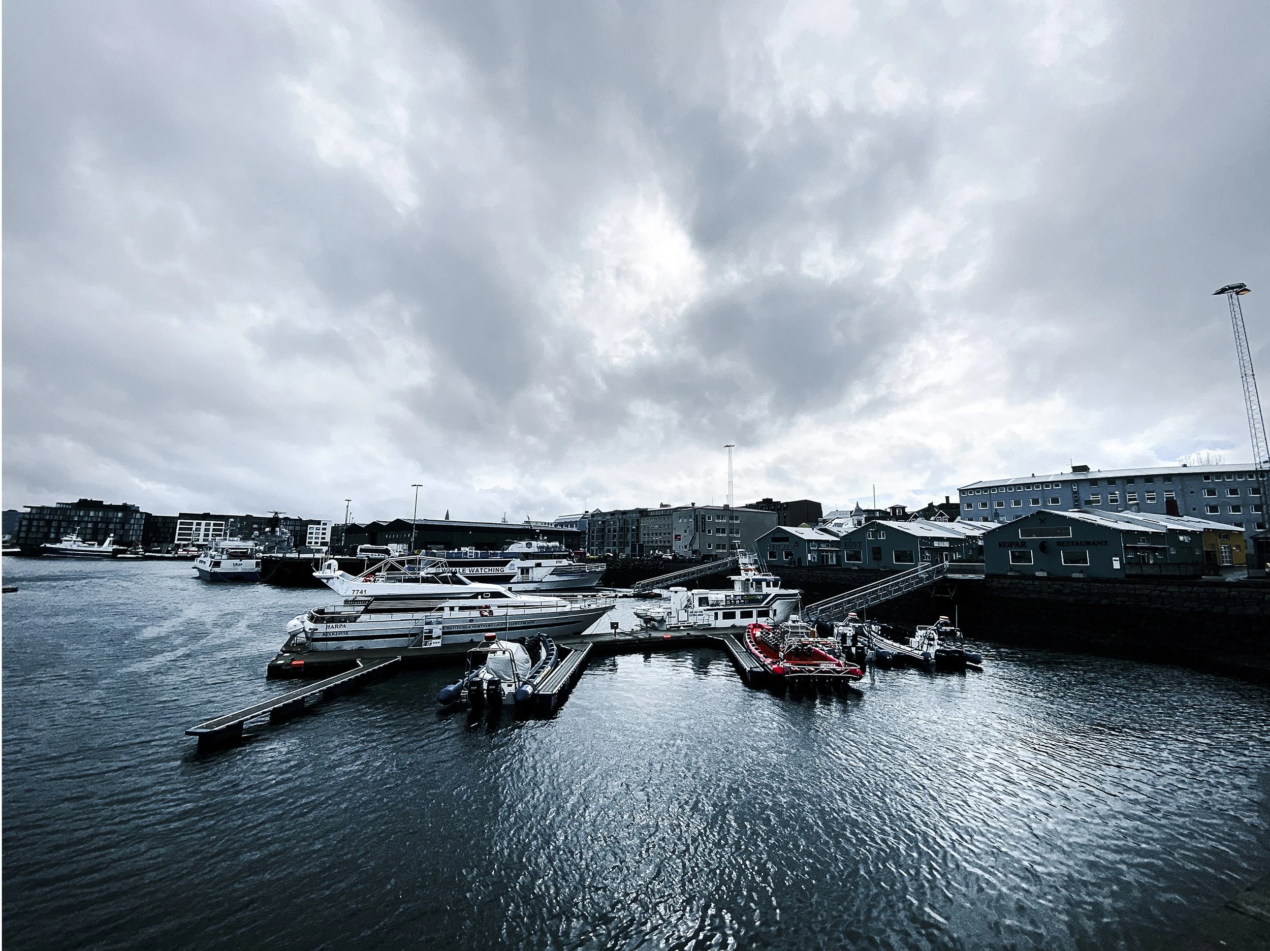 2023_04_ICELAND_019_ copy 5.jpg