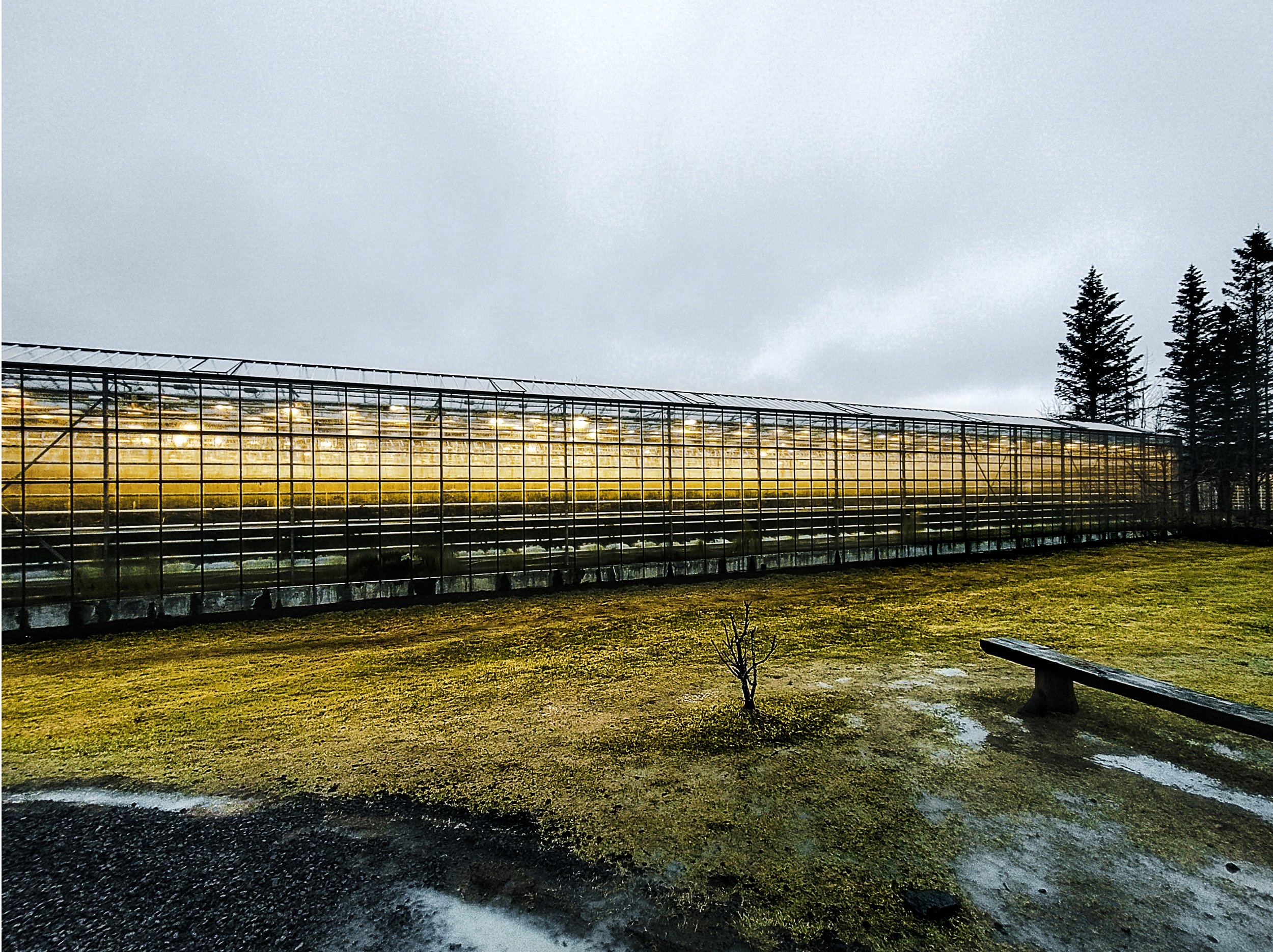 2023_04_ICELAND_196_ copy 4.jpg