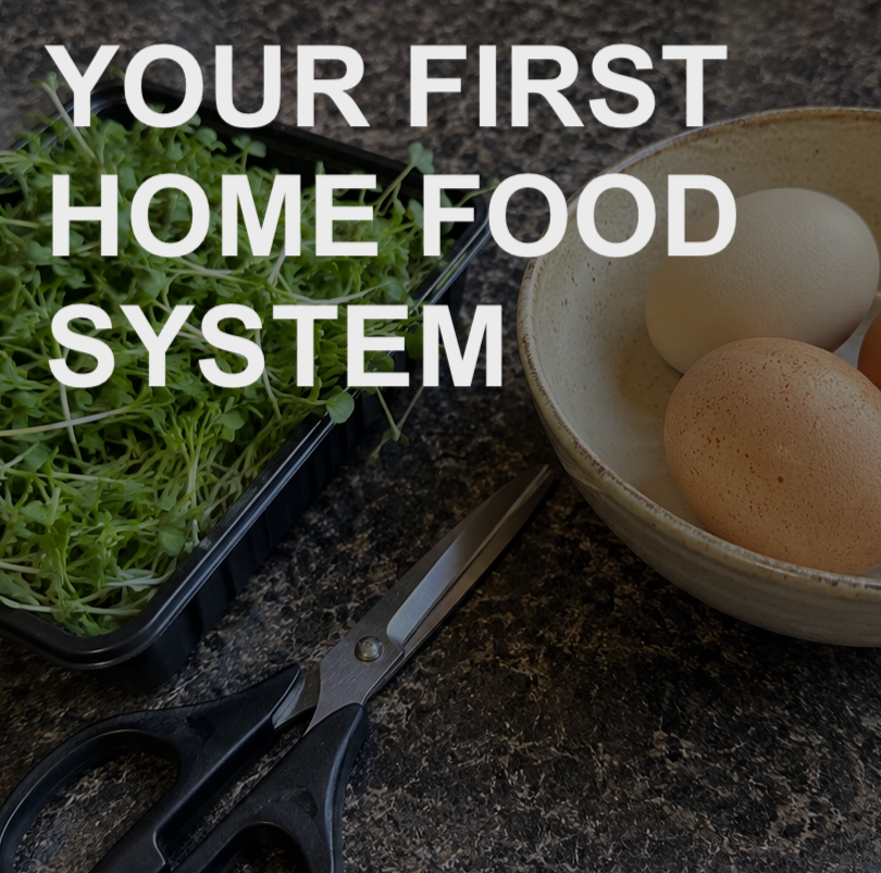Your First Home Food System: how to get started