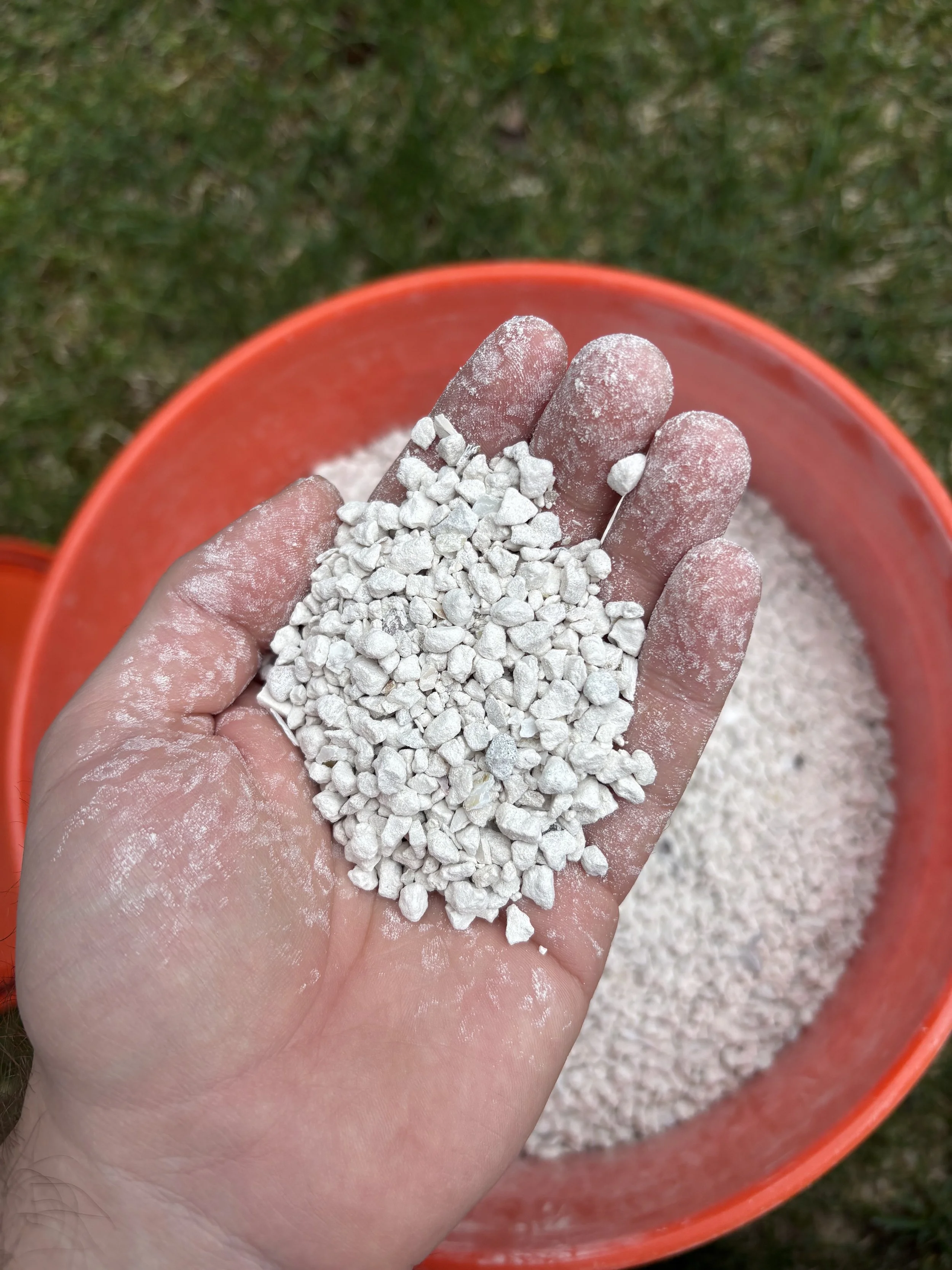 shellsinhand.jpg