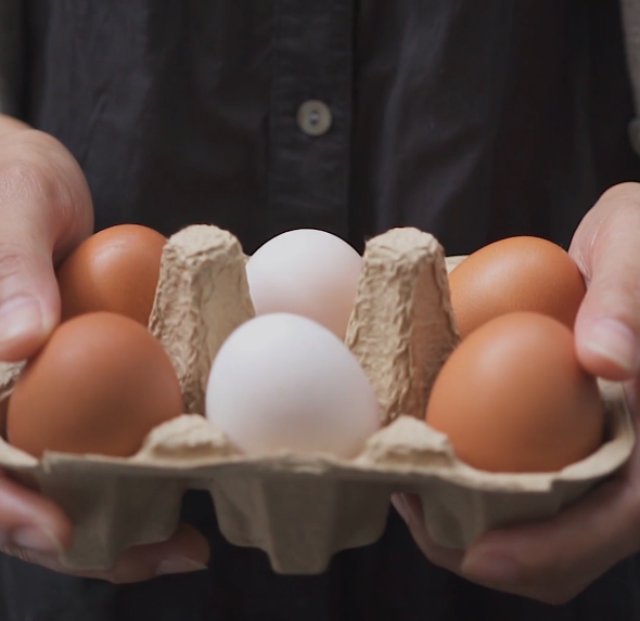 Person holding a carton of brown and white eggs.