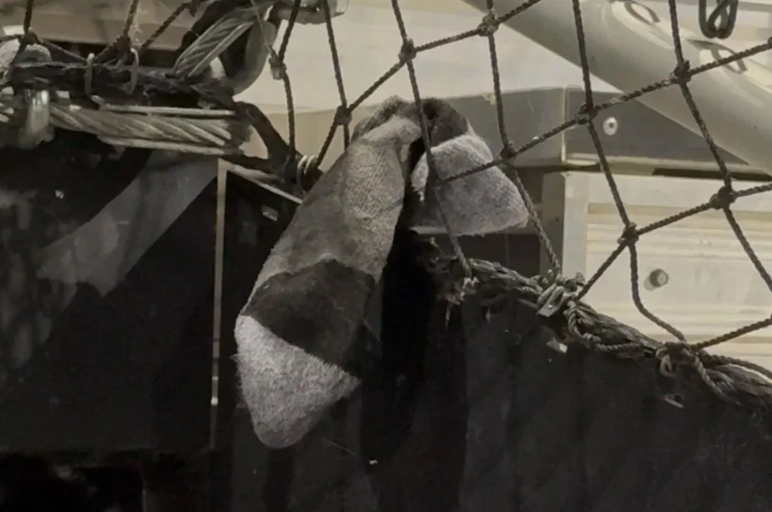 Rally Sock Provides Decisive Five-Run Seventh Inning in Drifters’ 6-0 Win over Portland