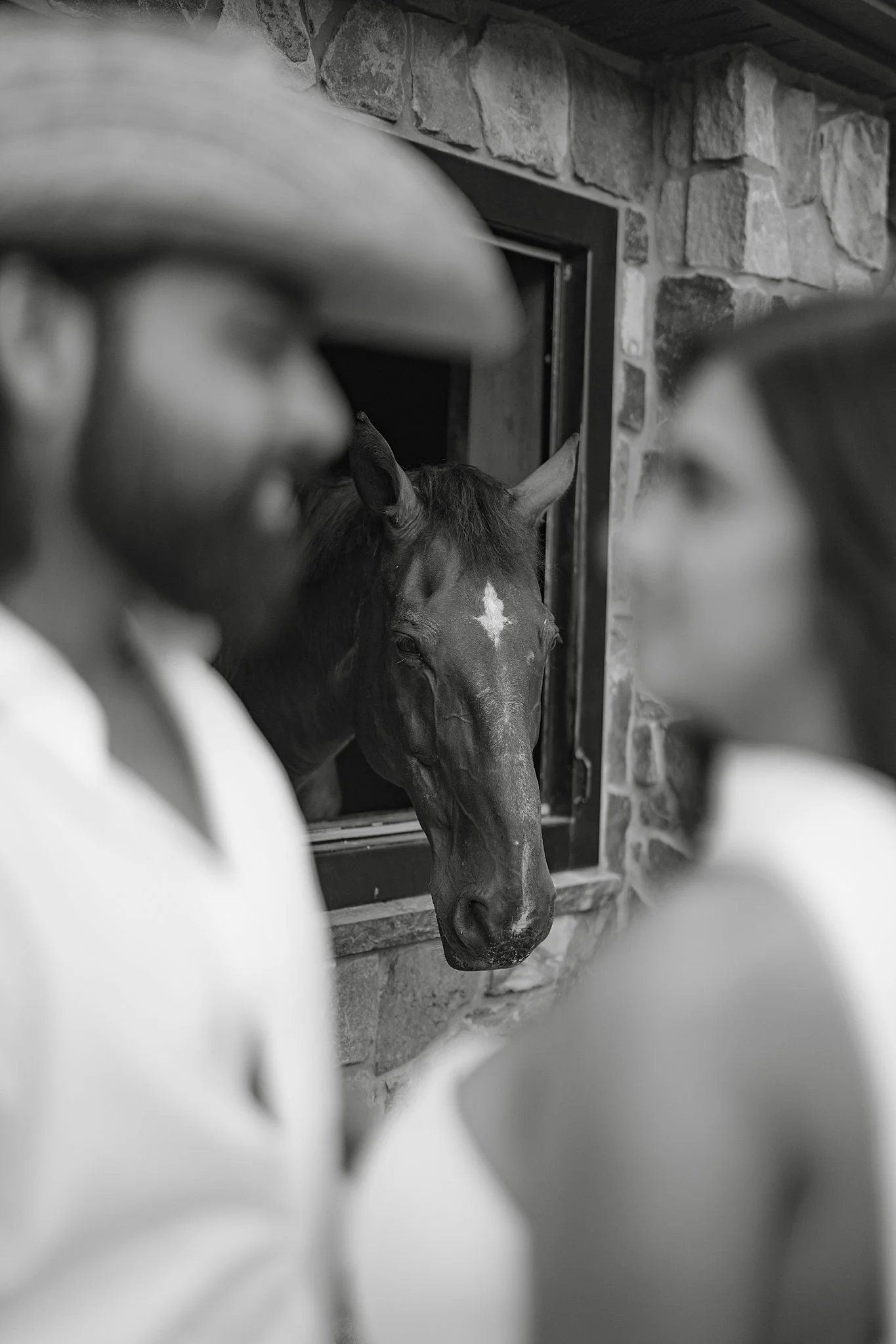 A horse looking out of a stable window between two blurred people in the foreground.