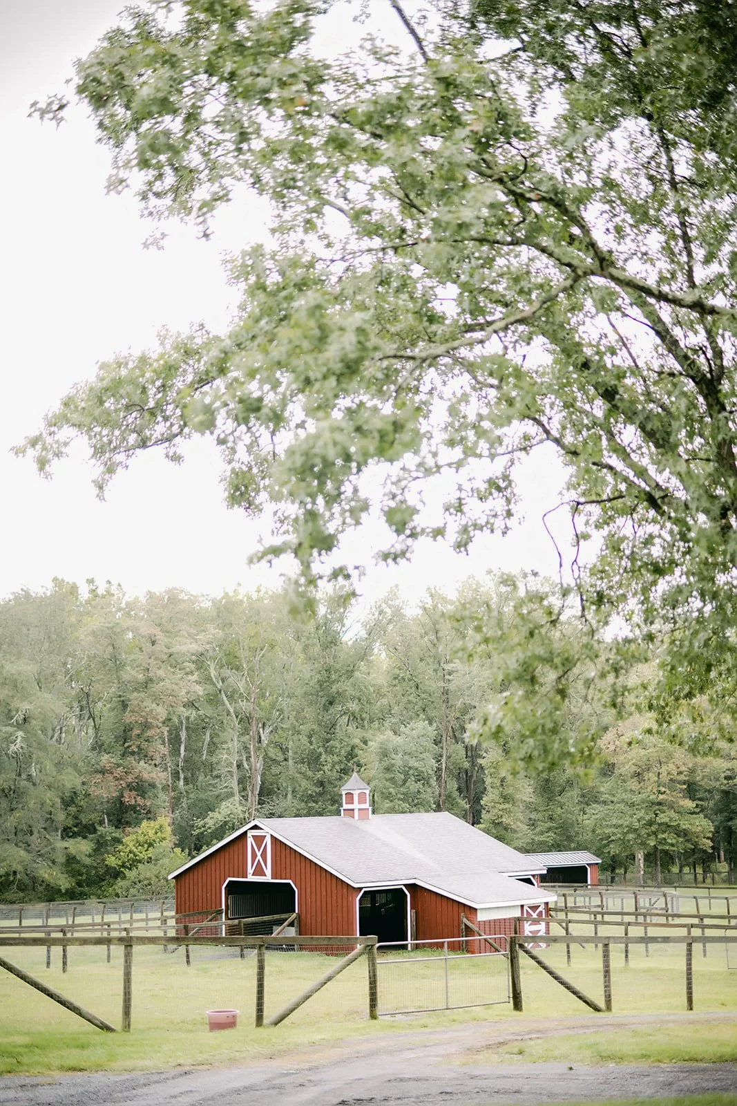 A red barn with white trim and a small cupola on top, surrounded by a wooden fence and green grass, with trees in the background.
