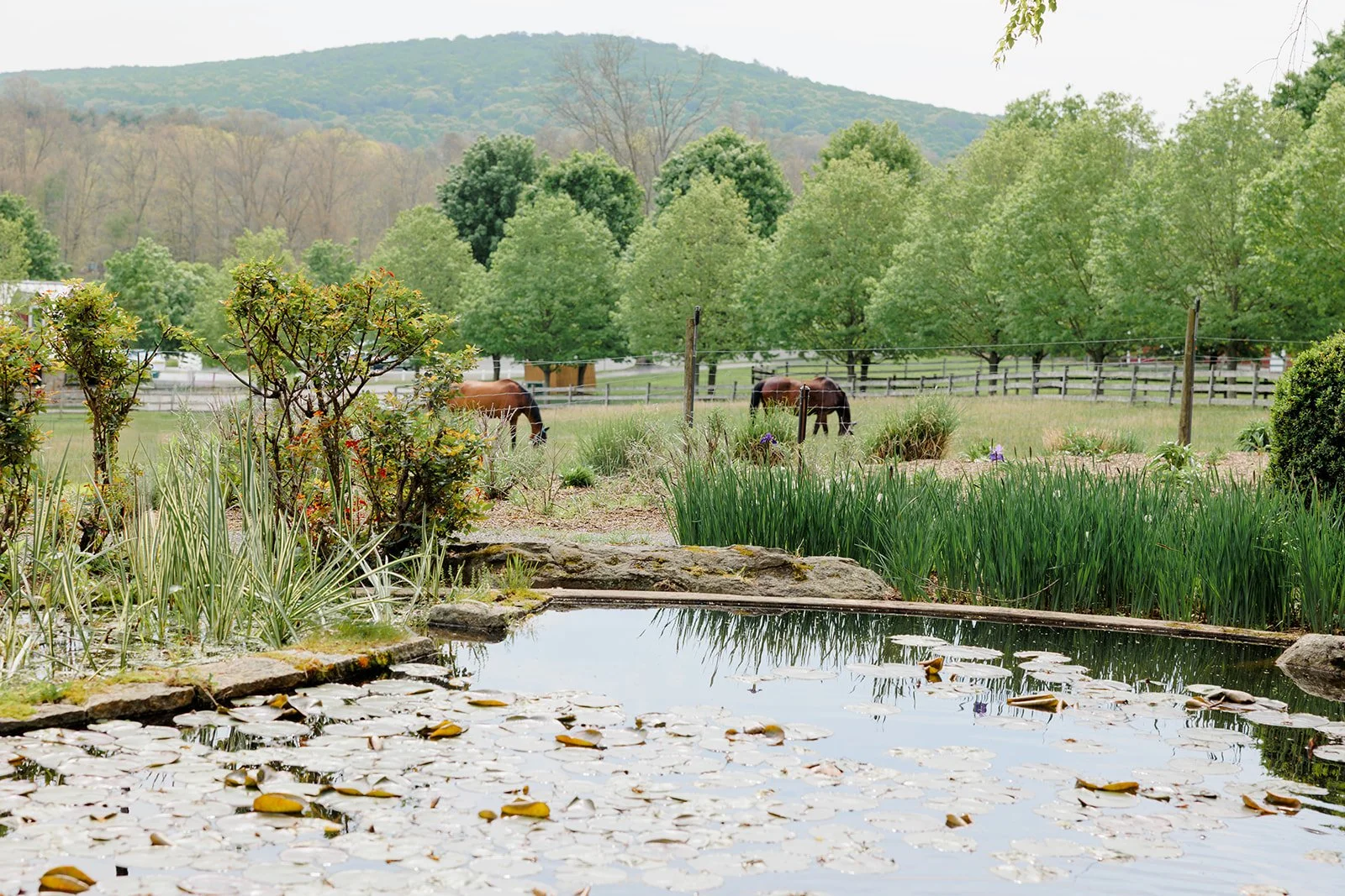 apollo-fields-events-flemington-nj.jpg