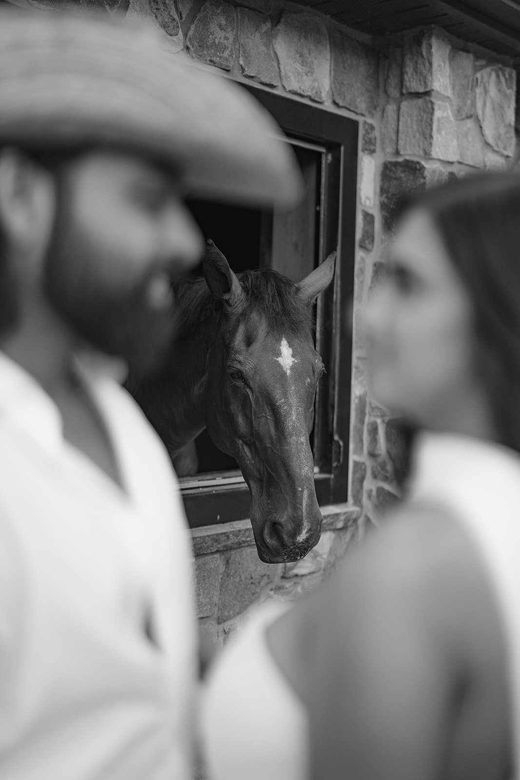 horse-farm-wedding-venue-nj.jpg