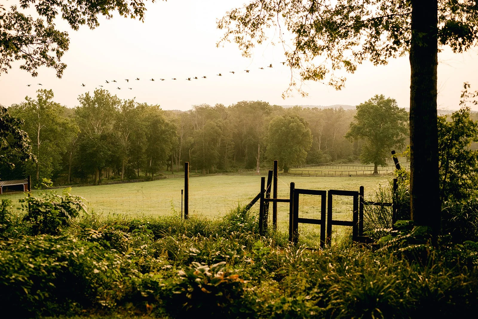 apollo-fields-private-event-parking.jpg