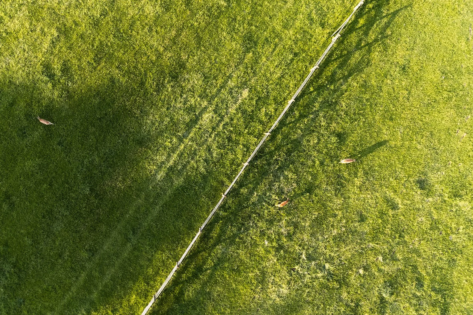 apollo-fields-private-estate-event-parking.jpg