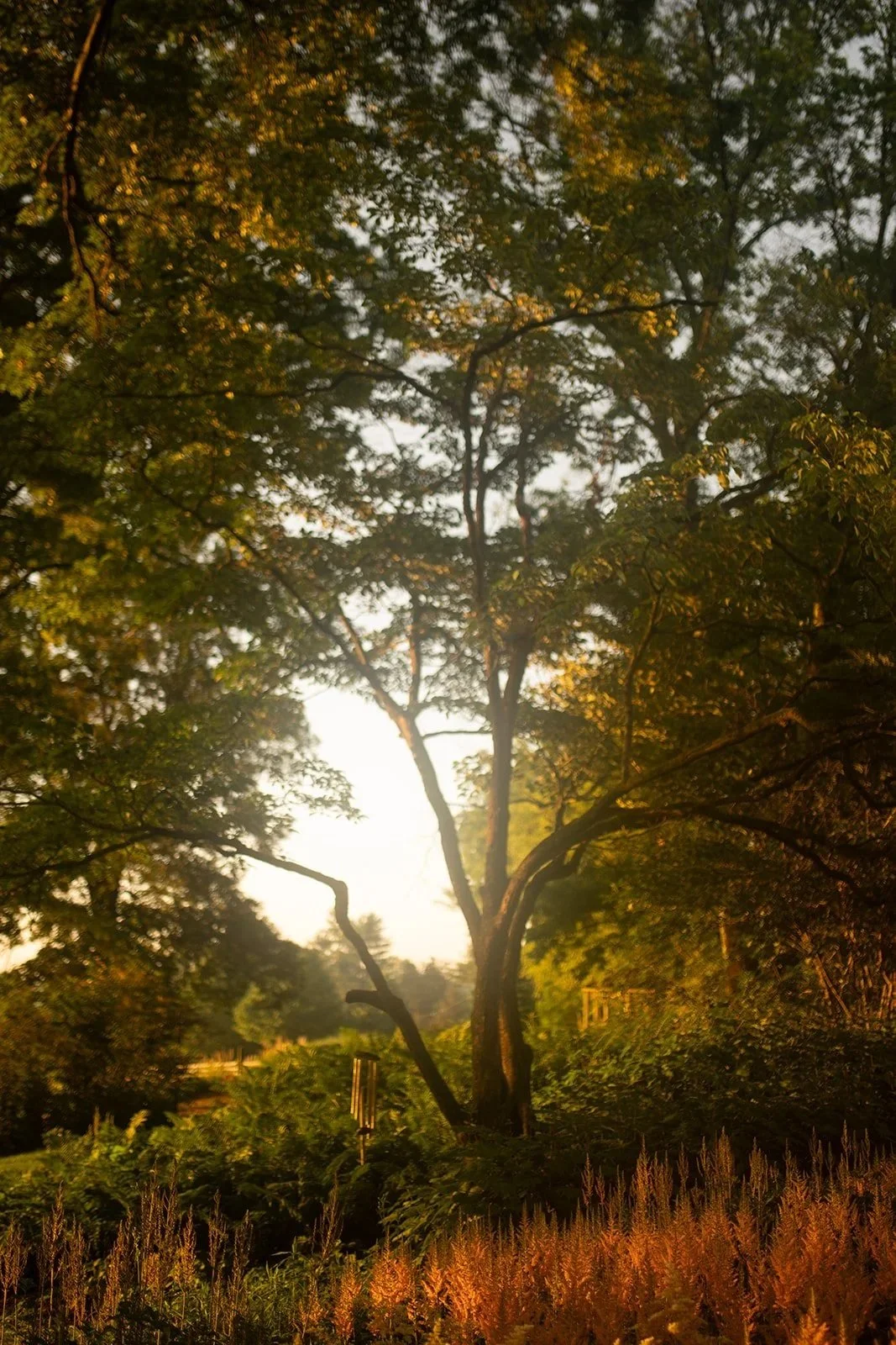 apollo-fields-private-wedding-parking.jpg