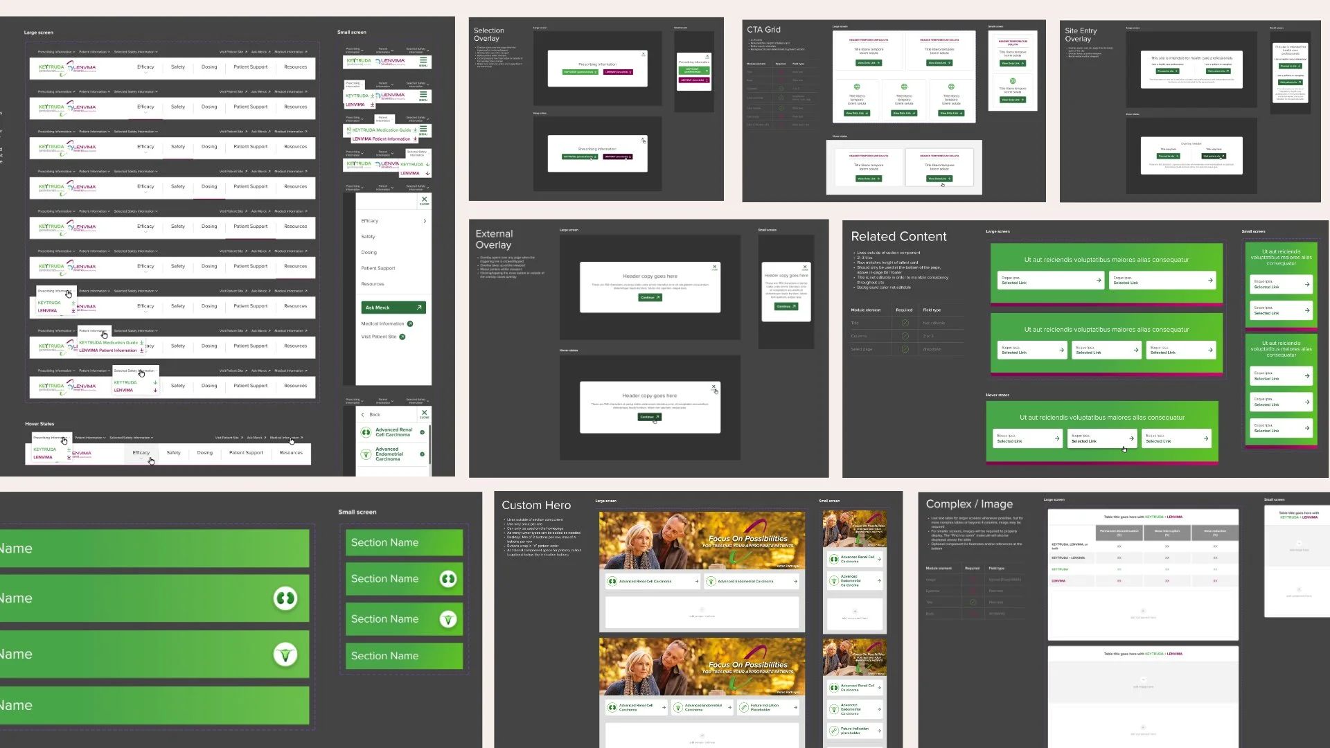 Collage of web interface design screens for a healthcare website, including layouts for navigation, selection overlay, CTA grid, site entry, external and related content overlays, custom hero section, complex image layout, and various style and component states.