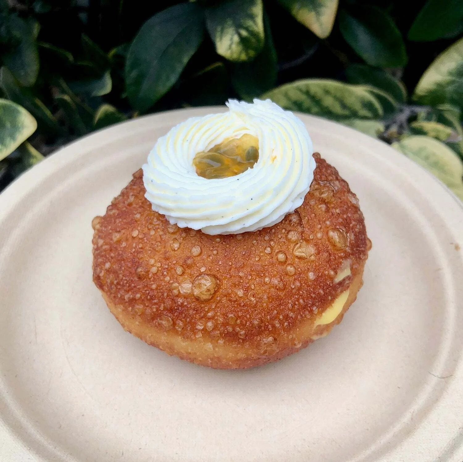 SoDo_Donuts_-_SoDo_Donuts_x_EC_Confections_-_-3581625.jpg