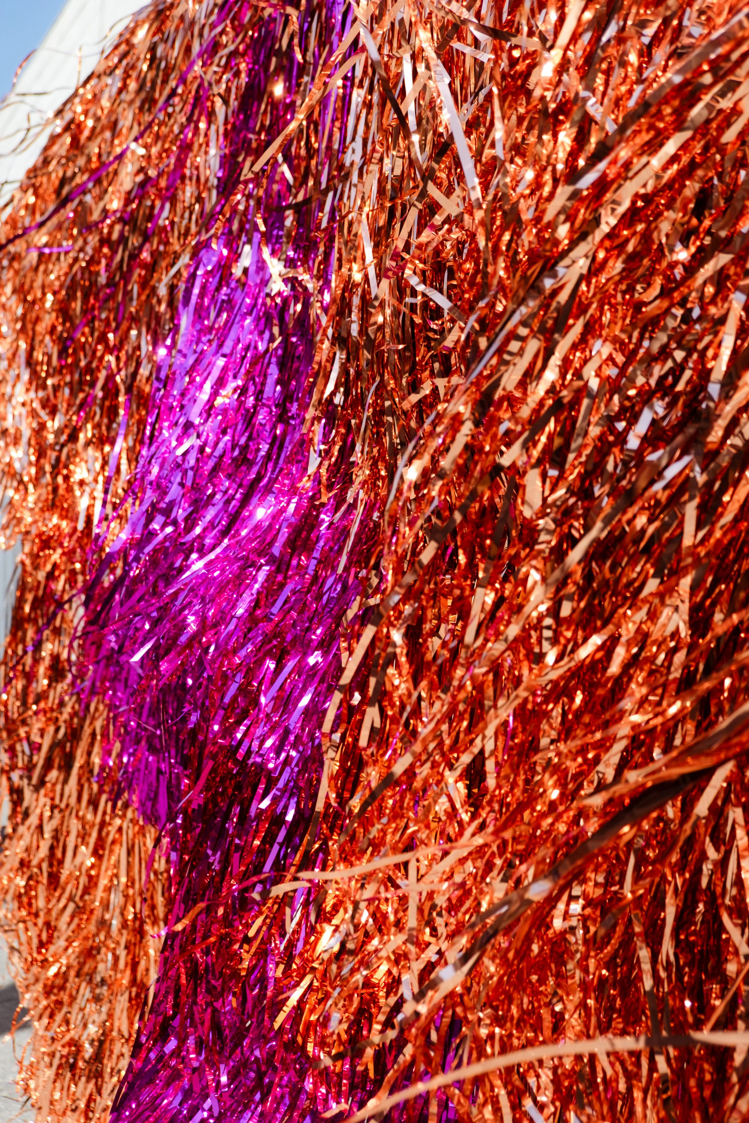 DSCF2962.jpg