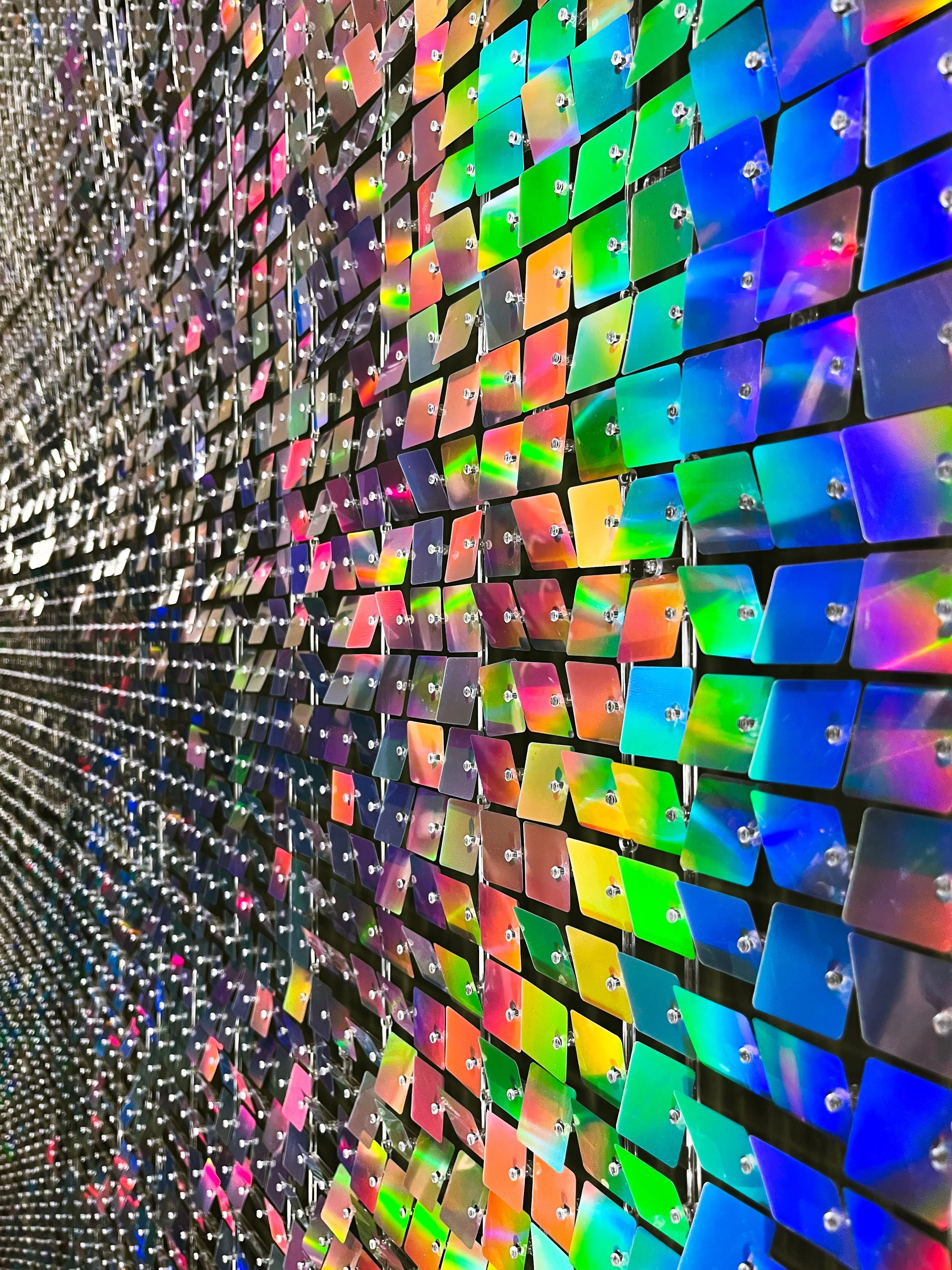 Photo Feb 09, 3 43 39 PM.jpg