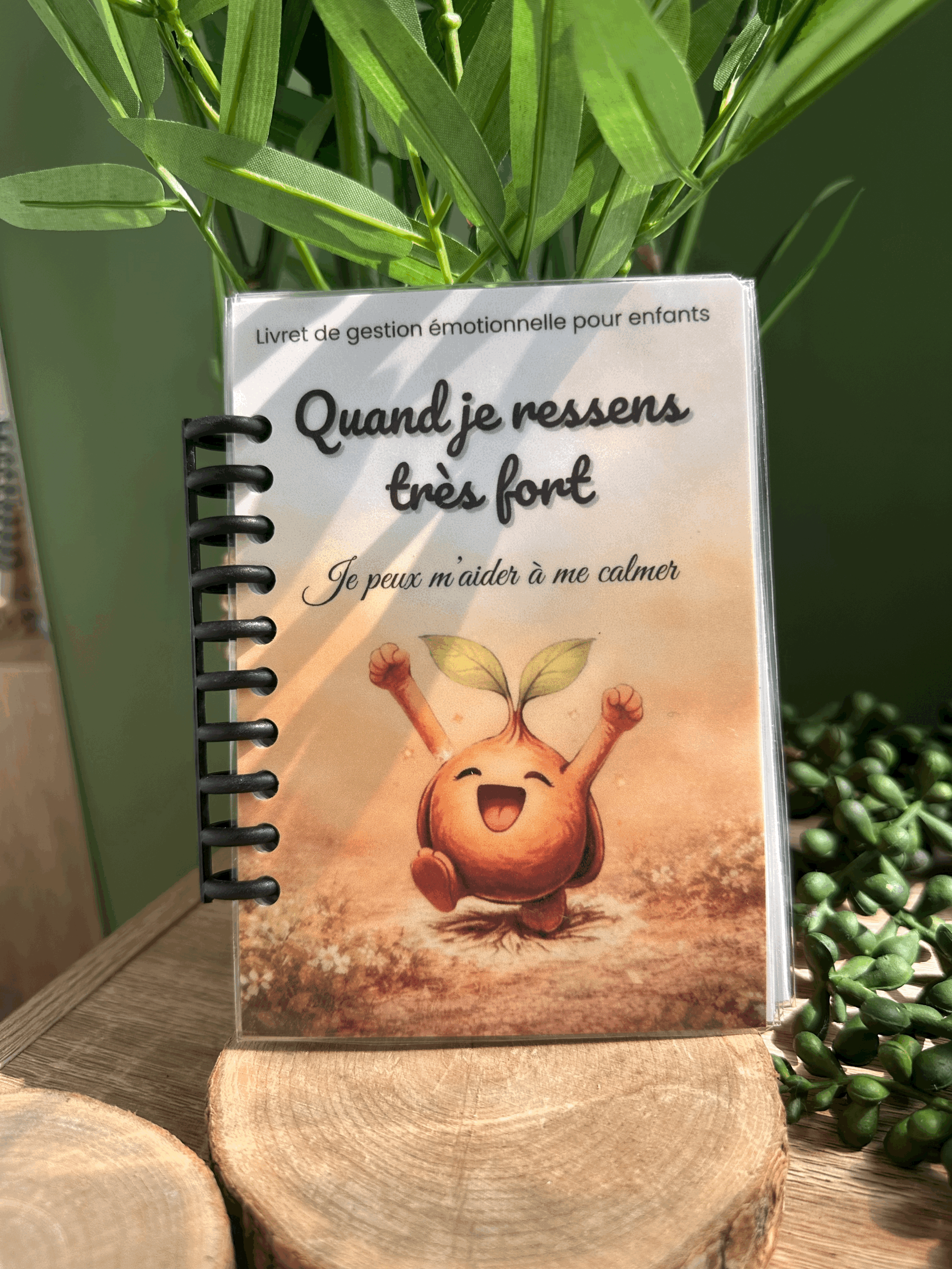 Livret de gestion émotionnelle pour enfants