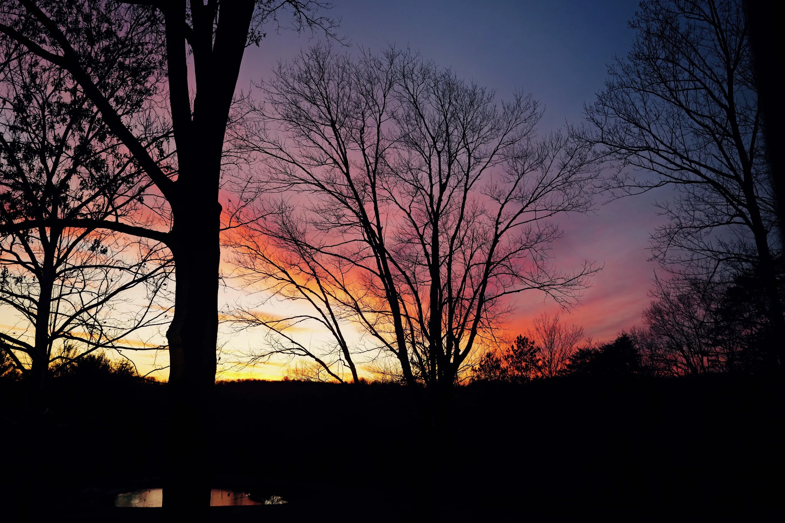 L1050116.jpg