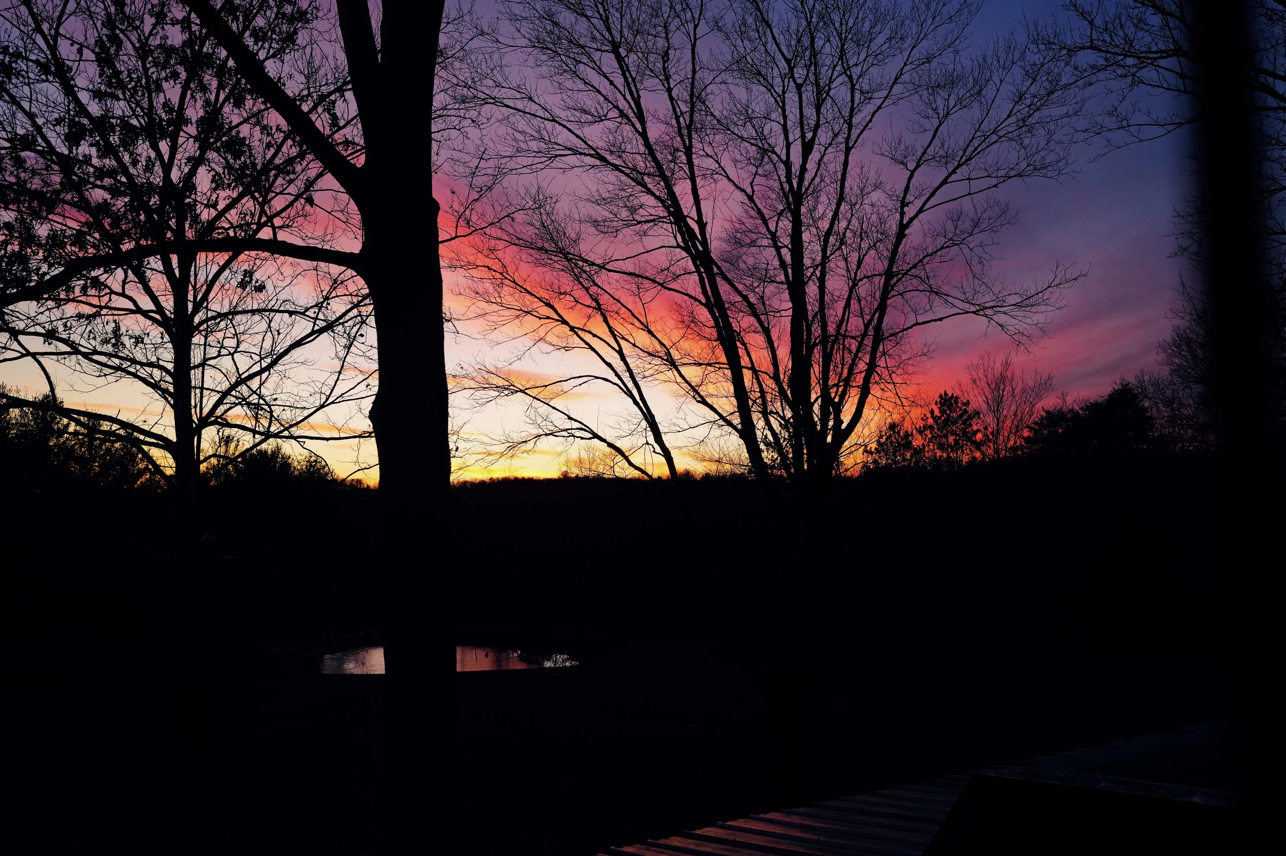 L1050132.jpg