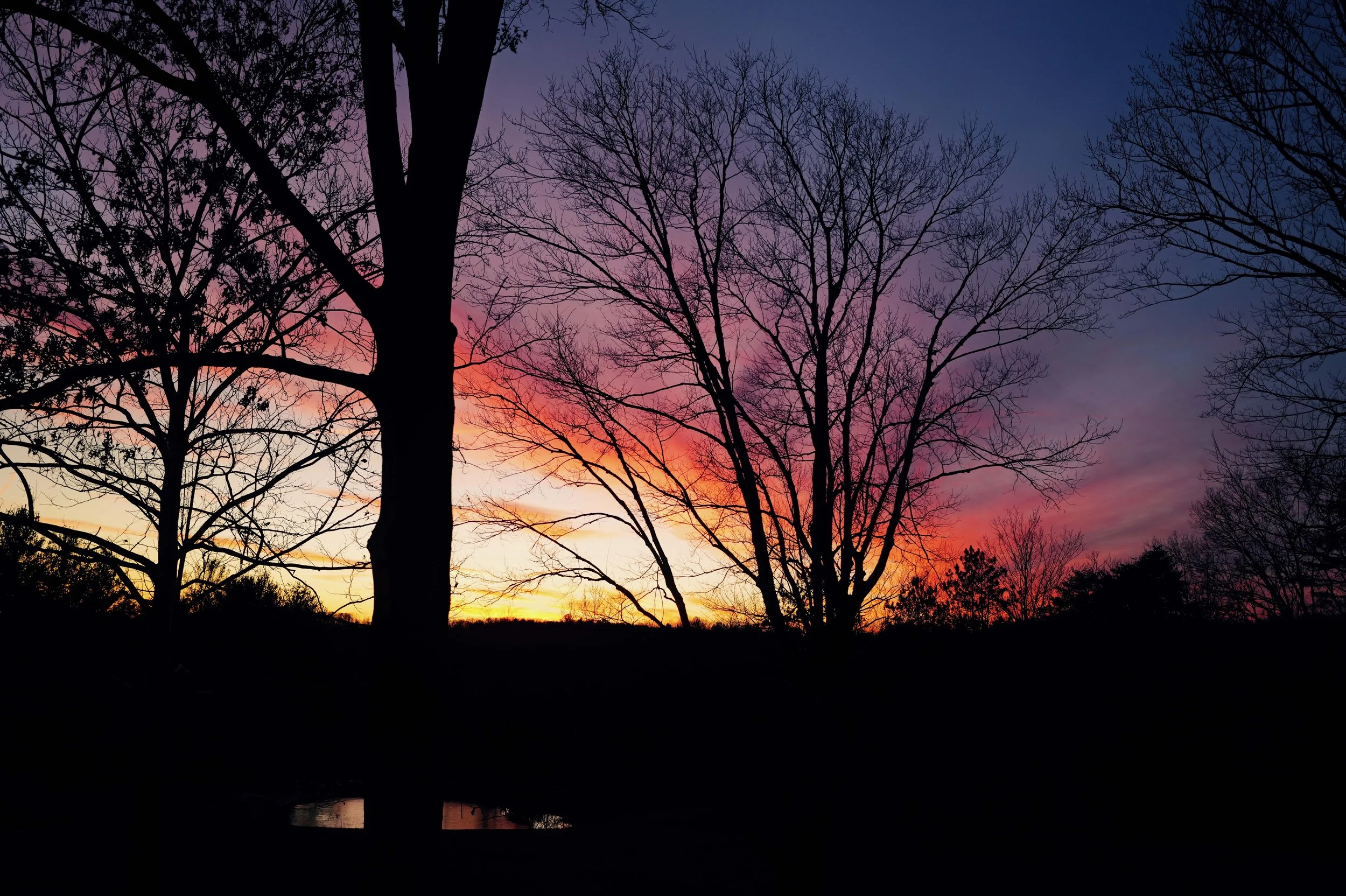 L1050137.jpg