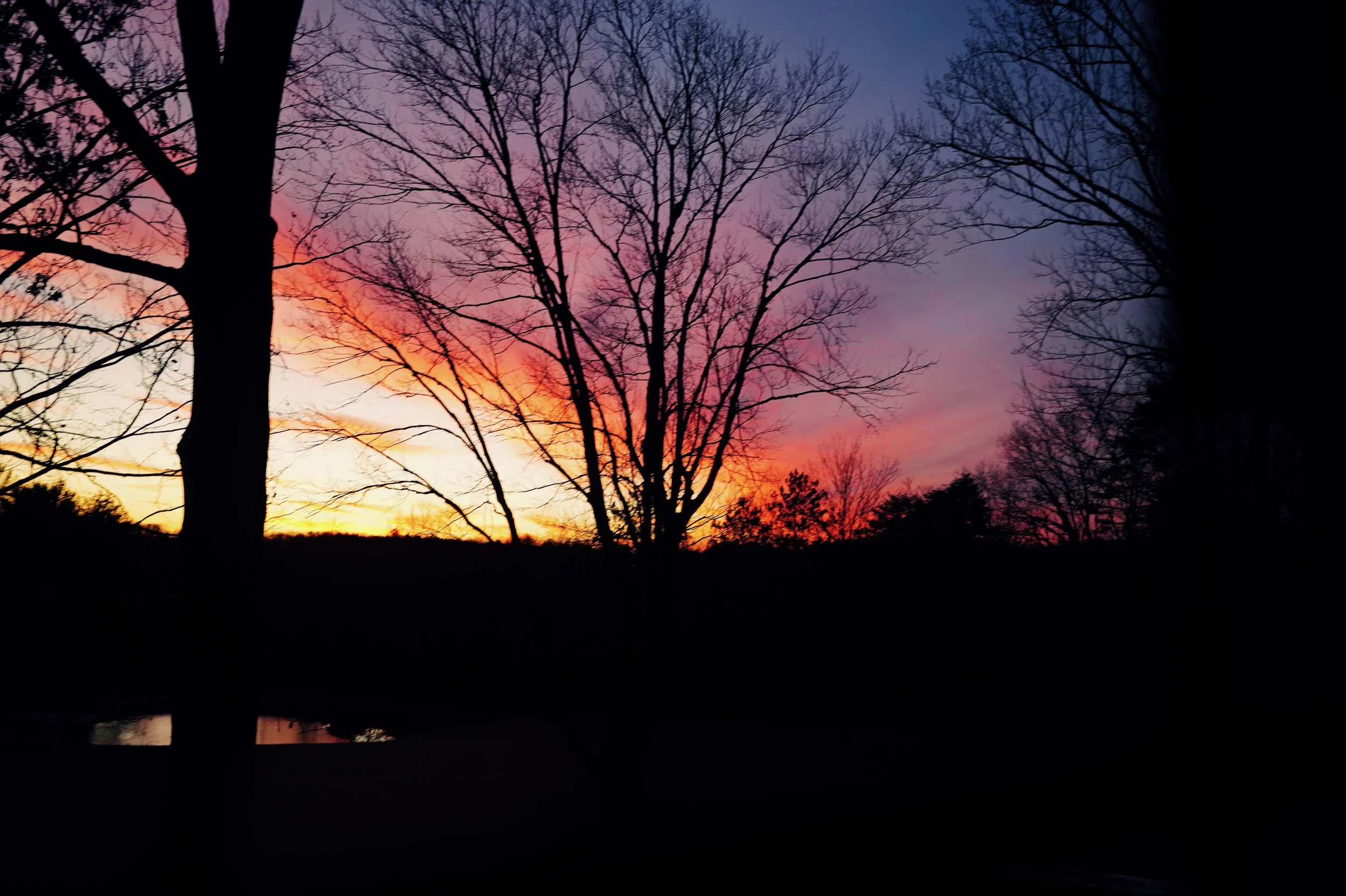 L1050126.jpg