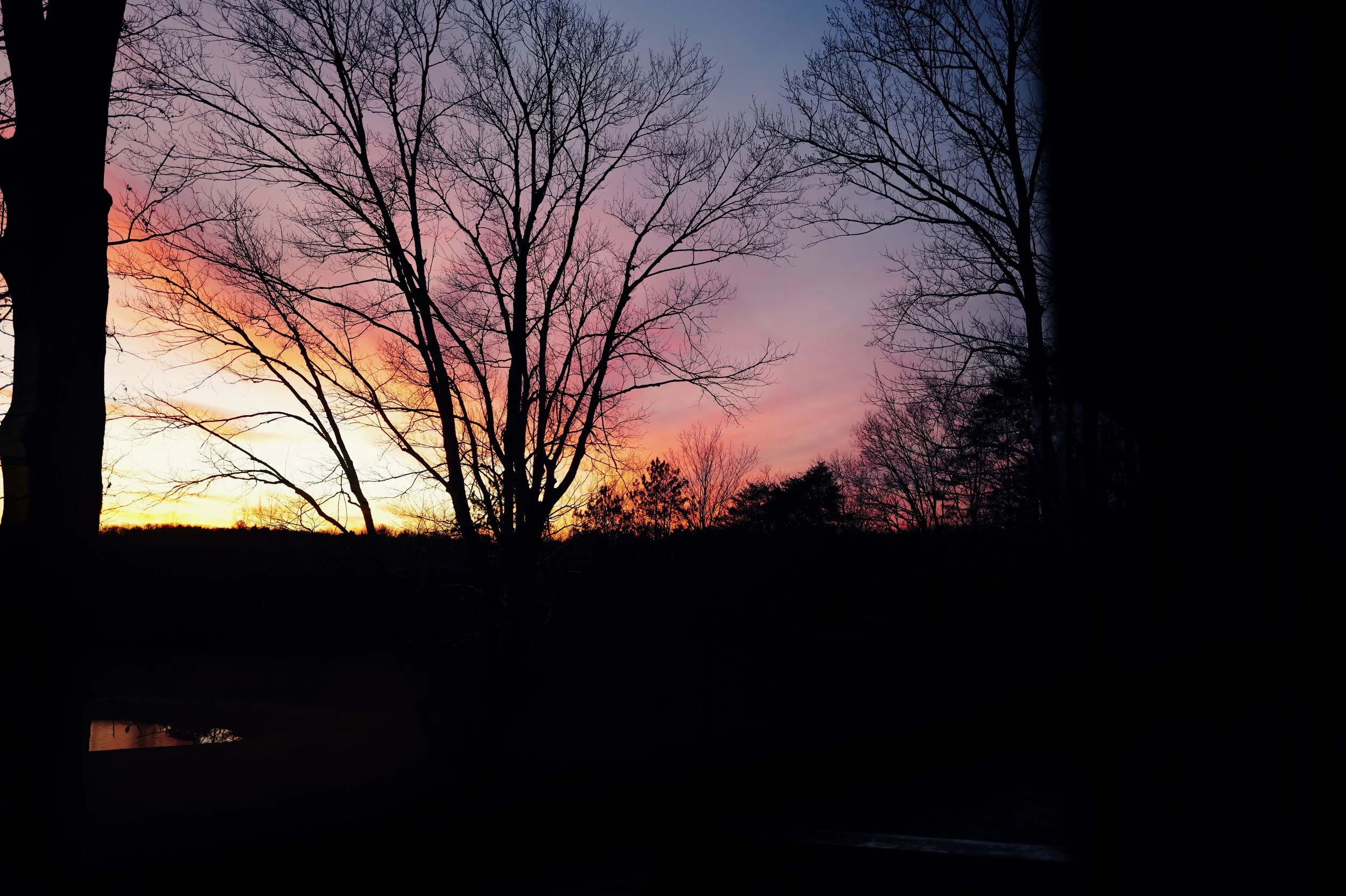 L1050128.jpg