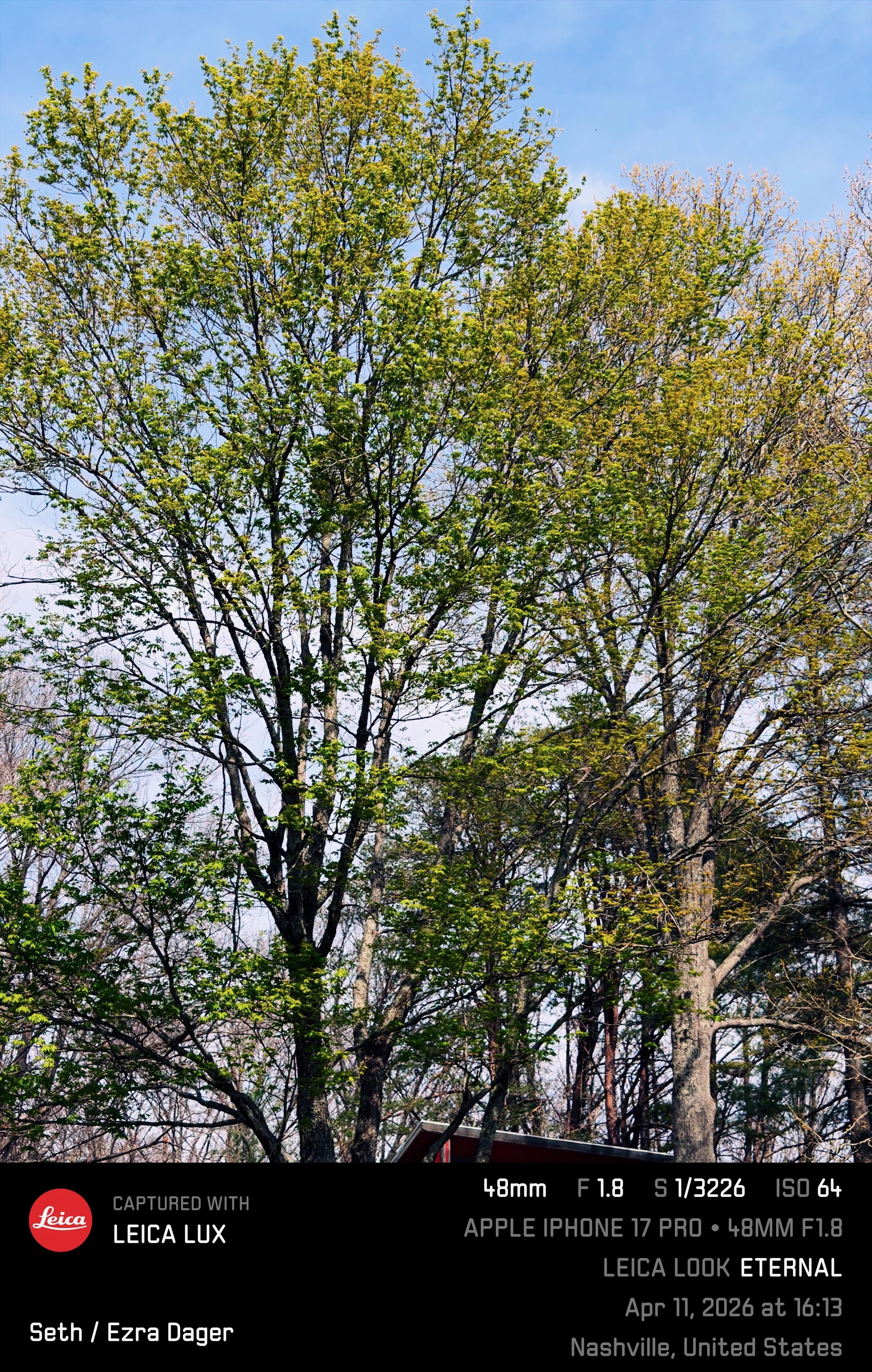 IMG_9084.jpeg