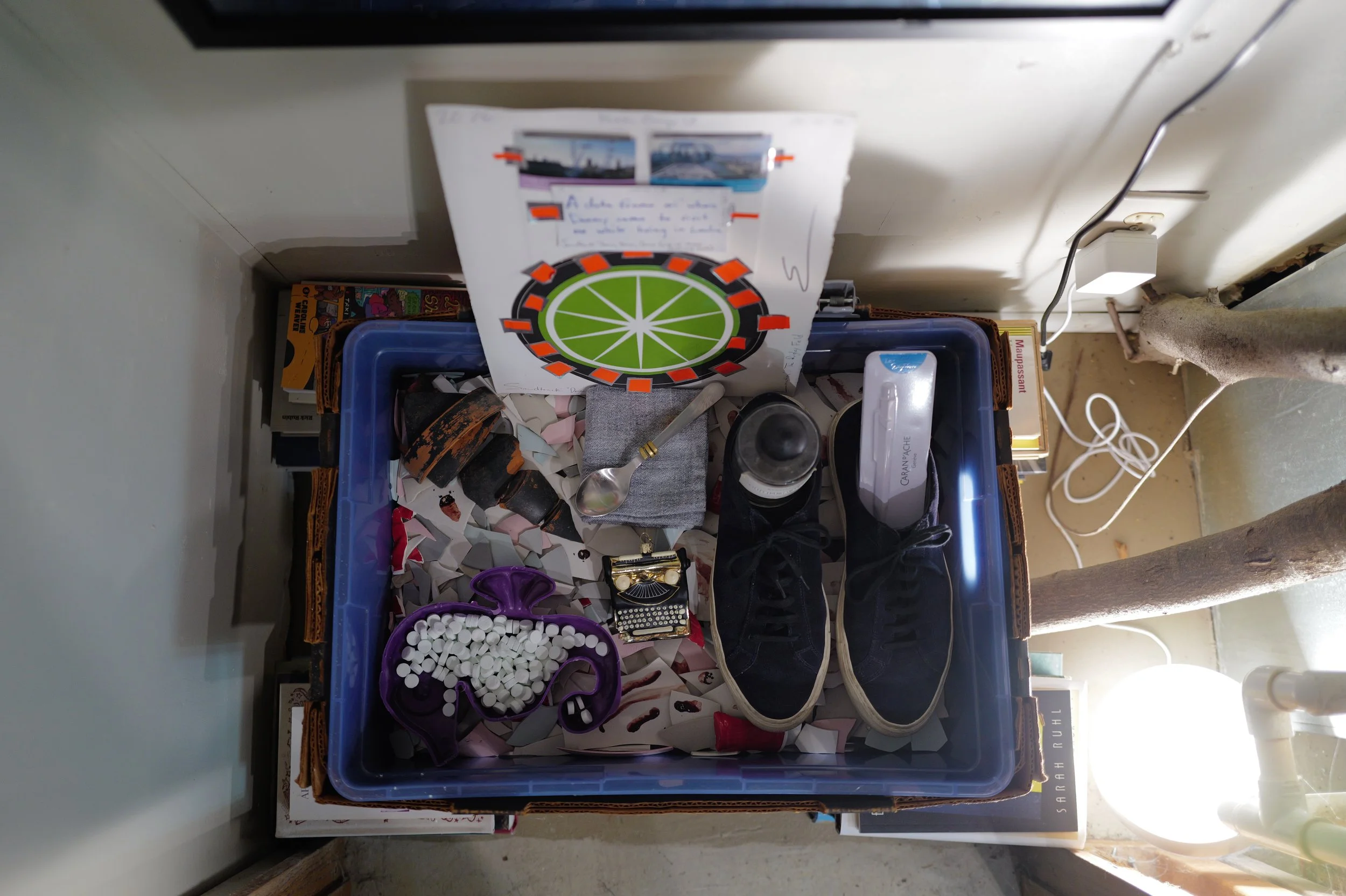 L1100673 (1).jpeg