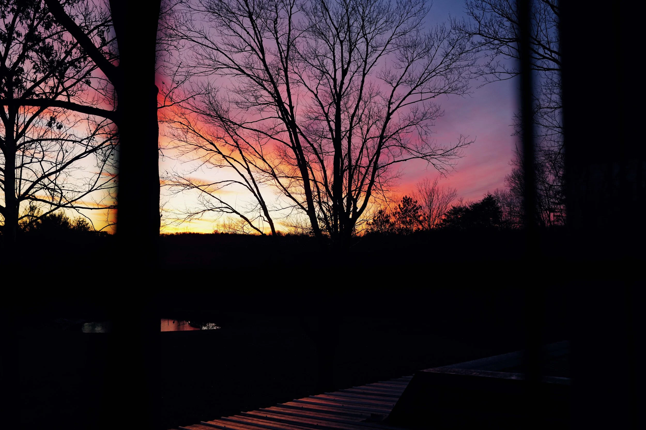 L1050113.jpg