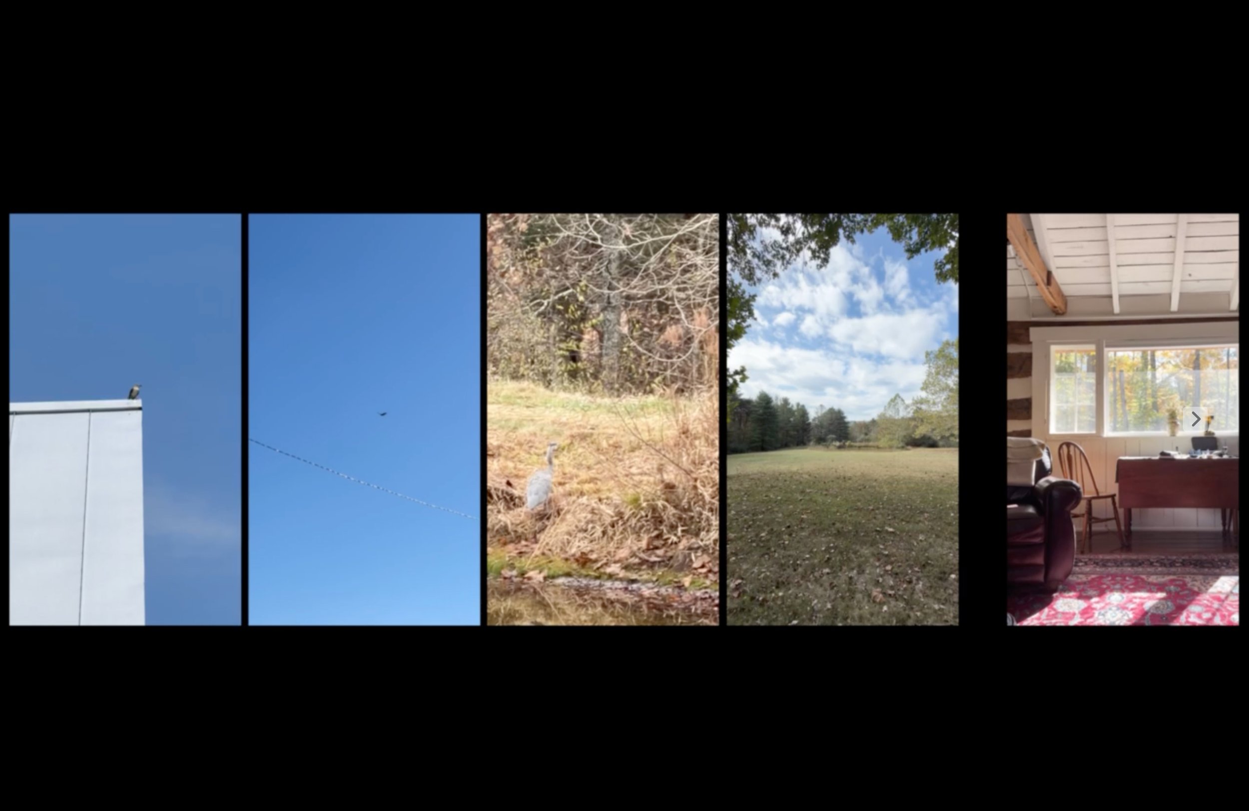 Related Video Item Thumbnail