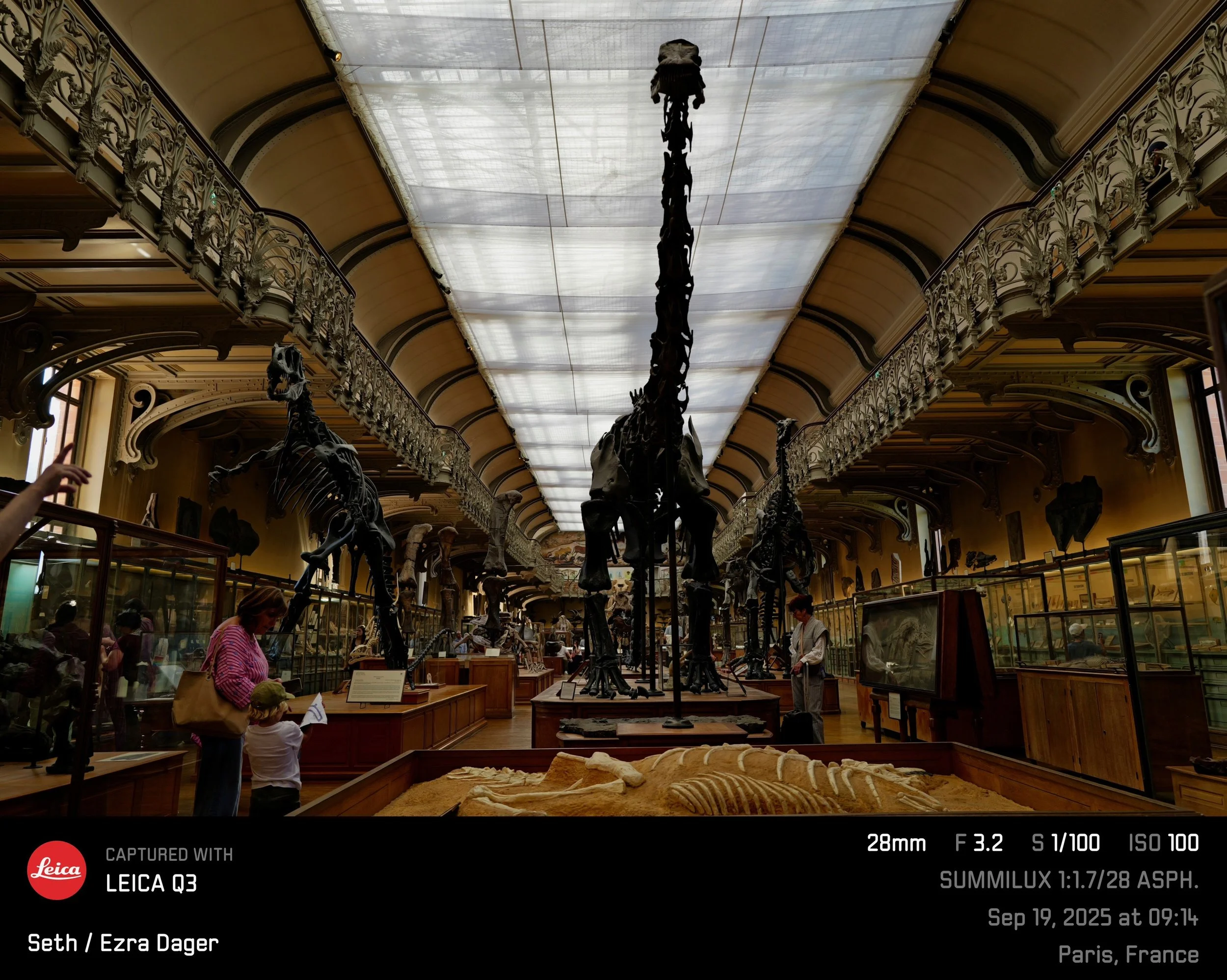 IMG_8589.jpeg
