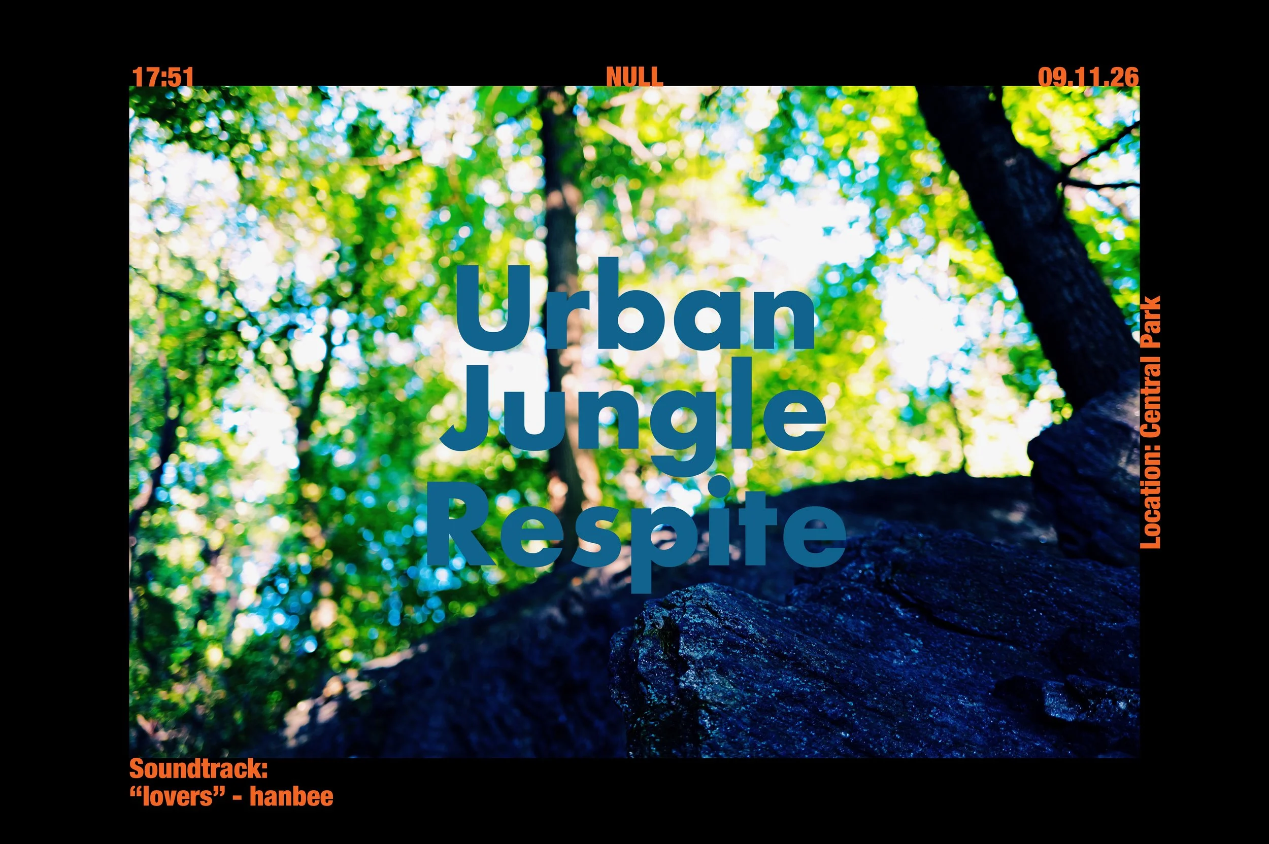 Urban Jungle Respite.jpg