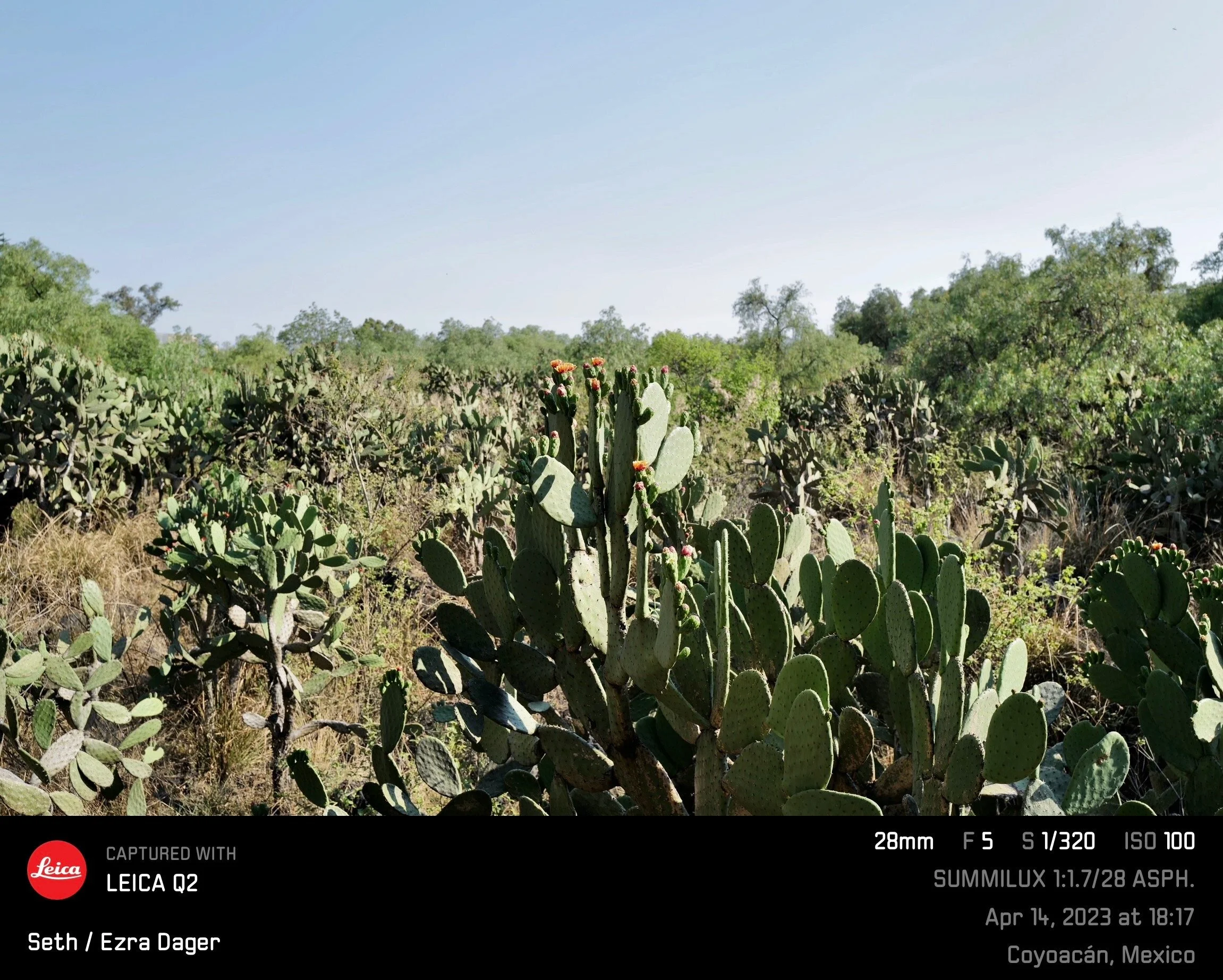 IMG_8462.jpeg