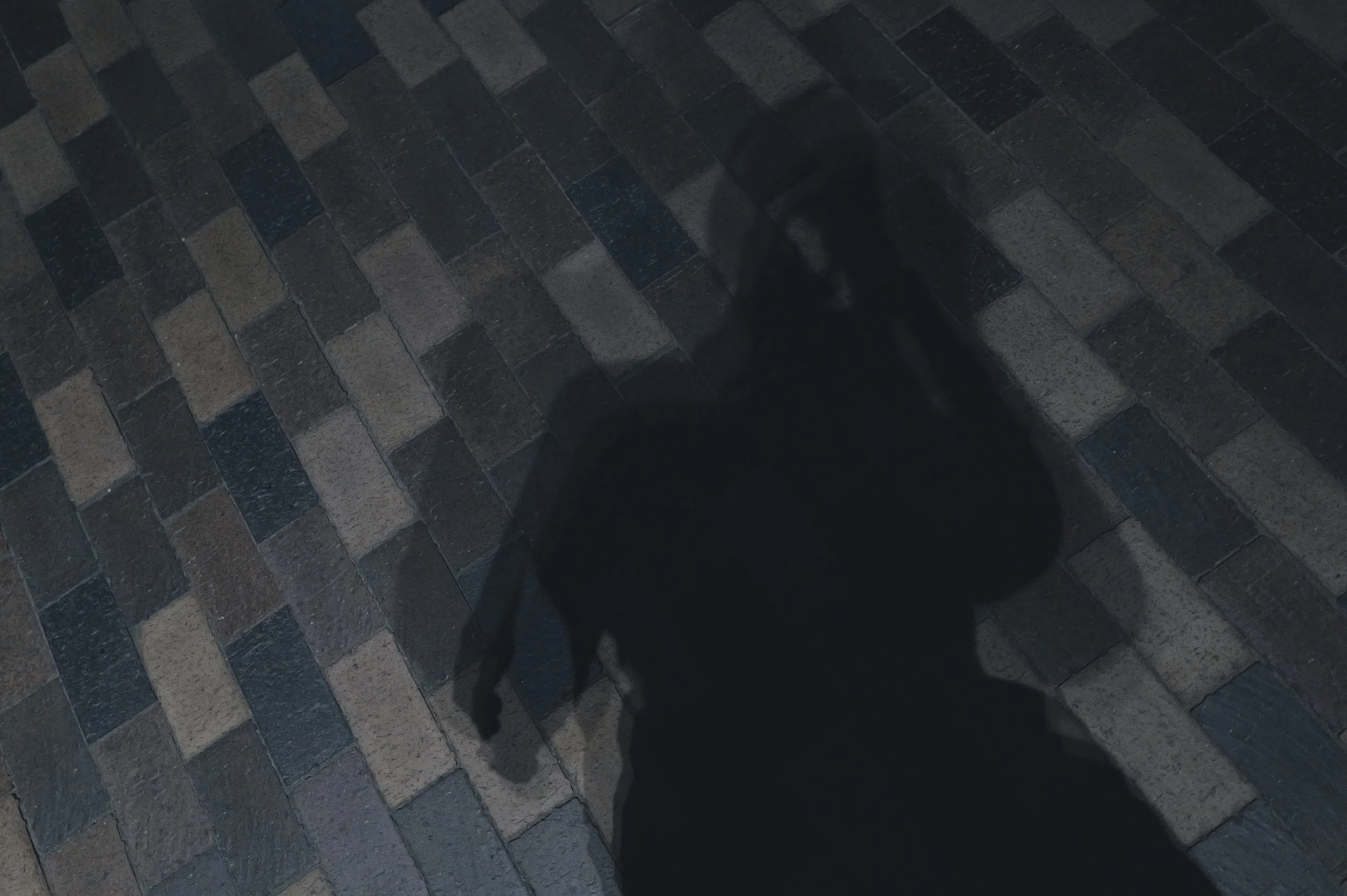 L1020225.jpeg
