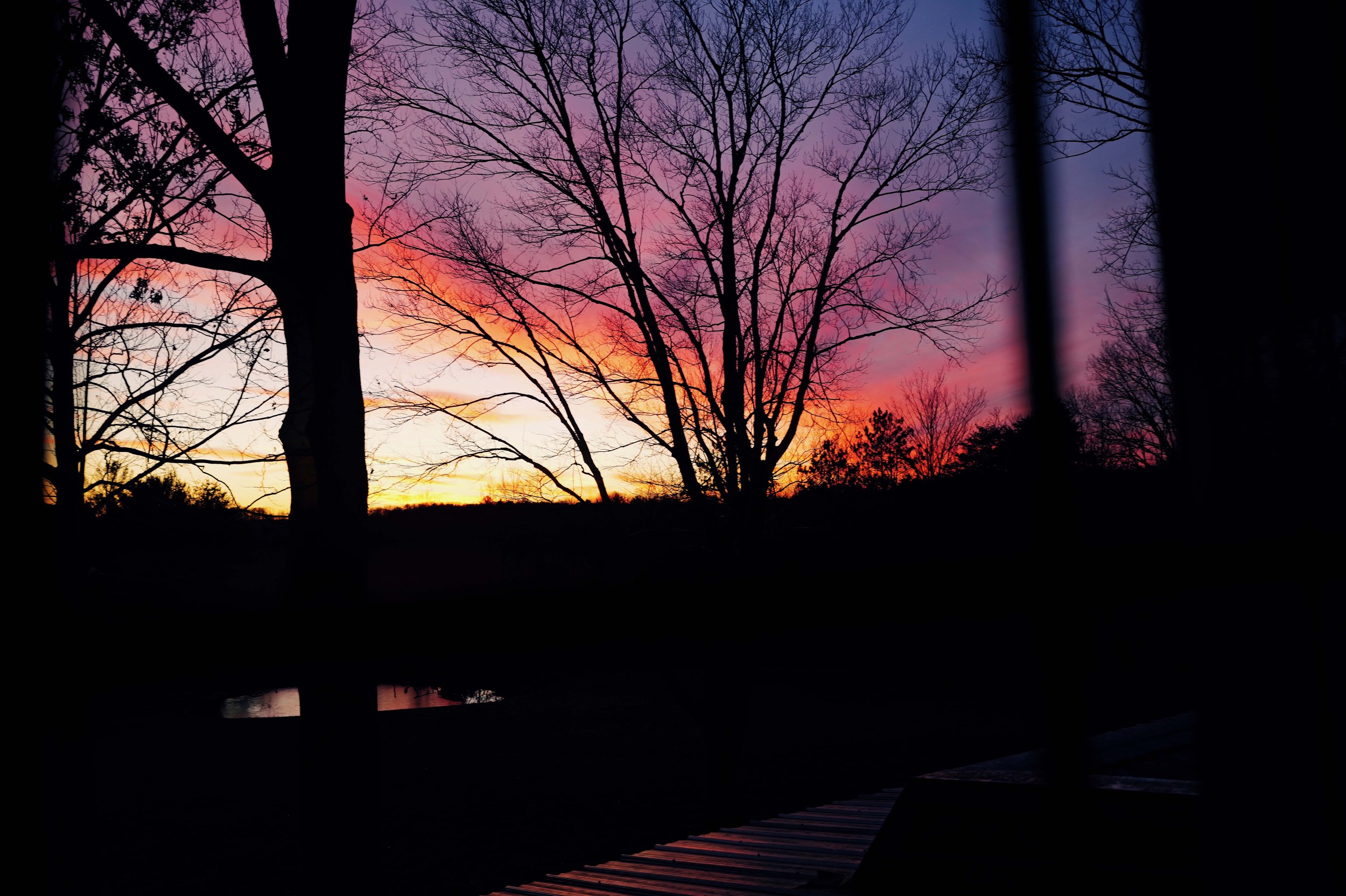L1050100.jpg