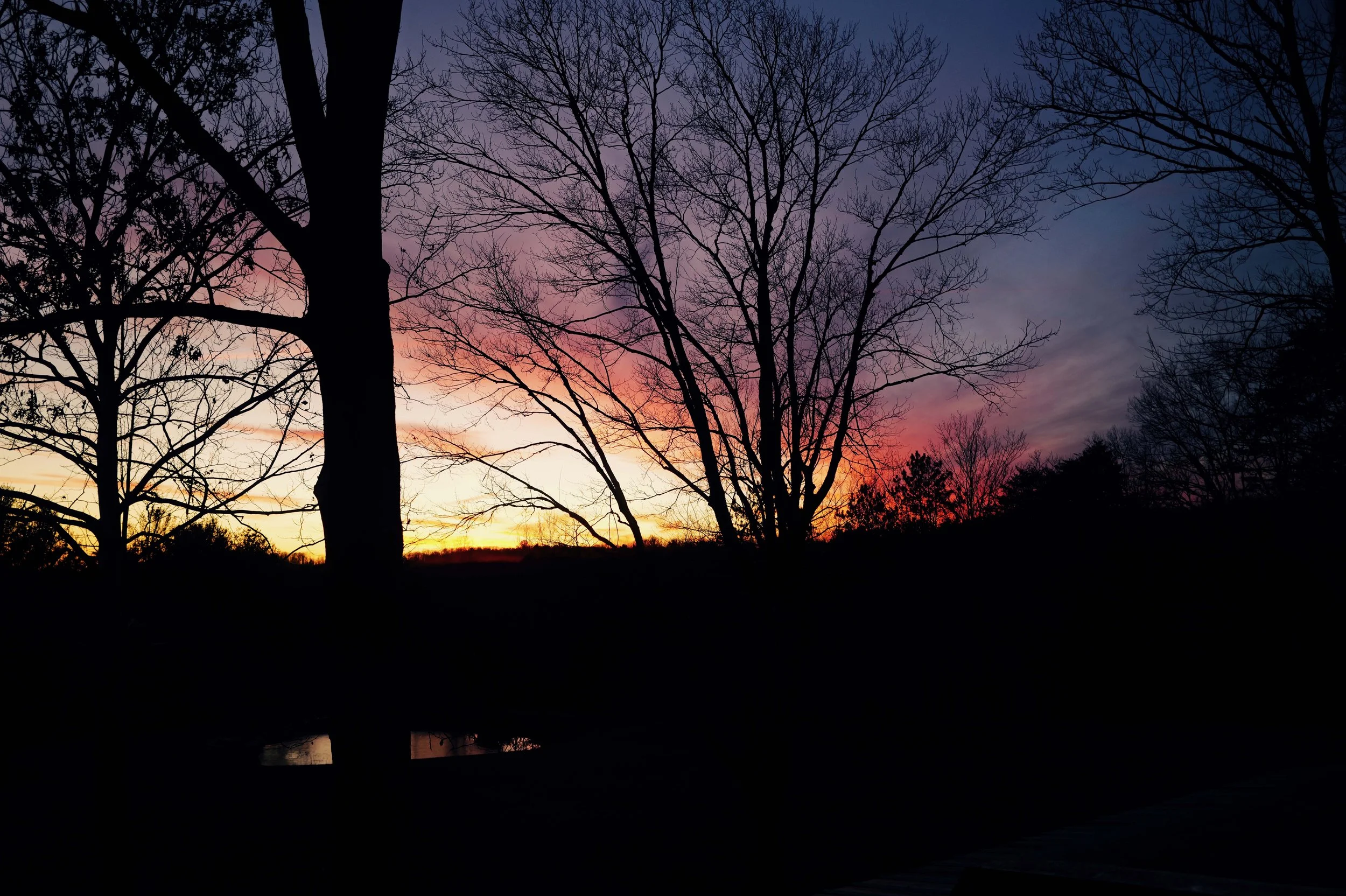 L1050154.jpg