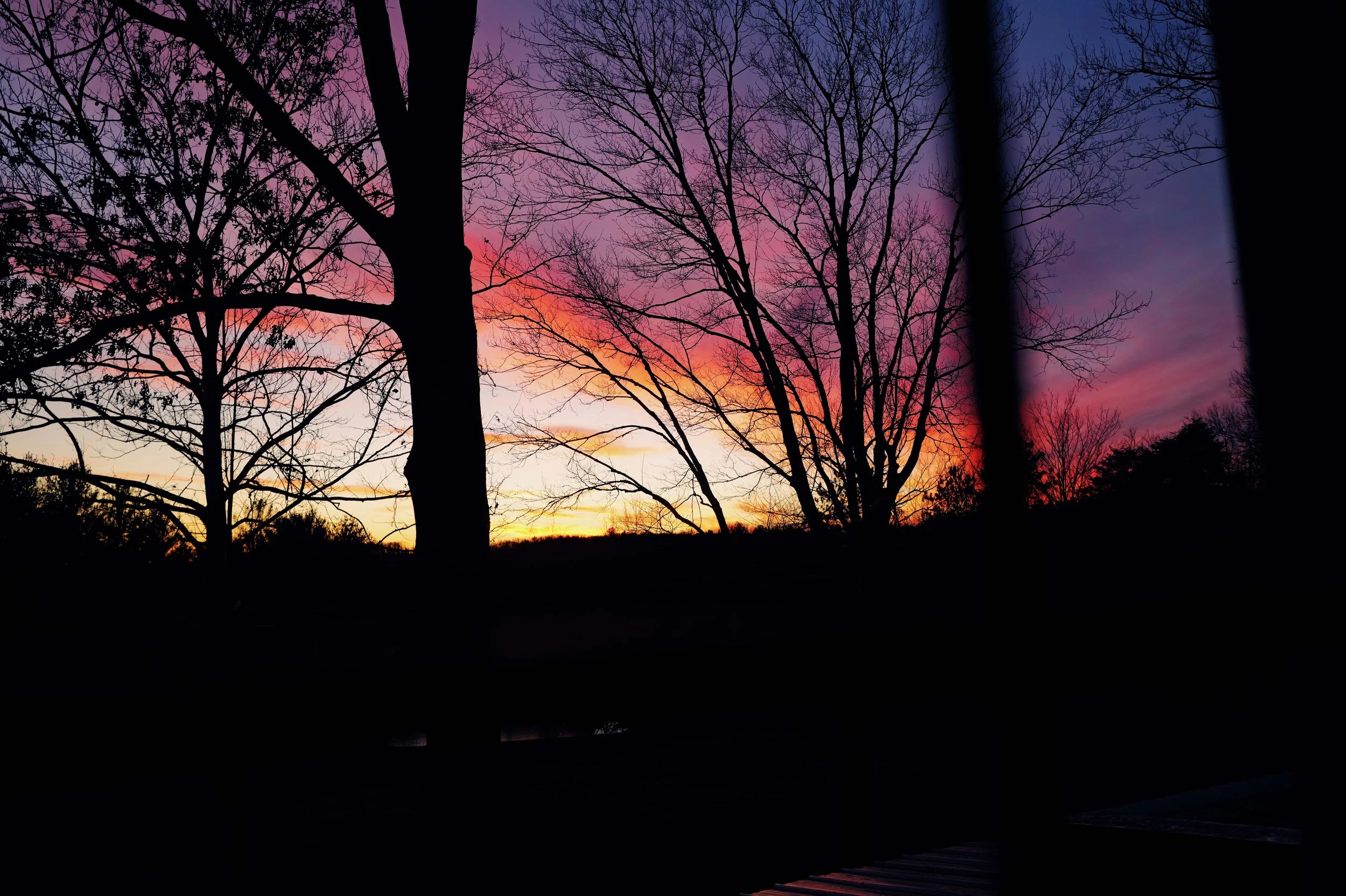L1050091.jpg