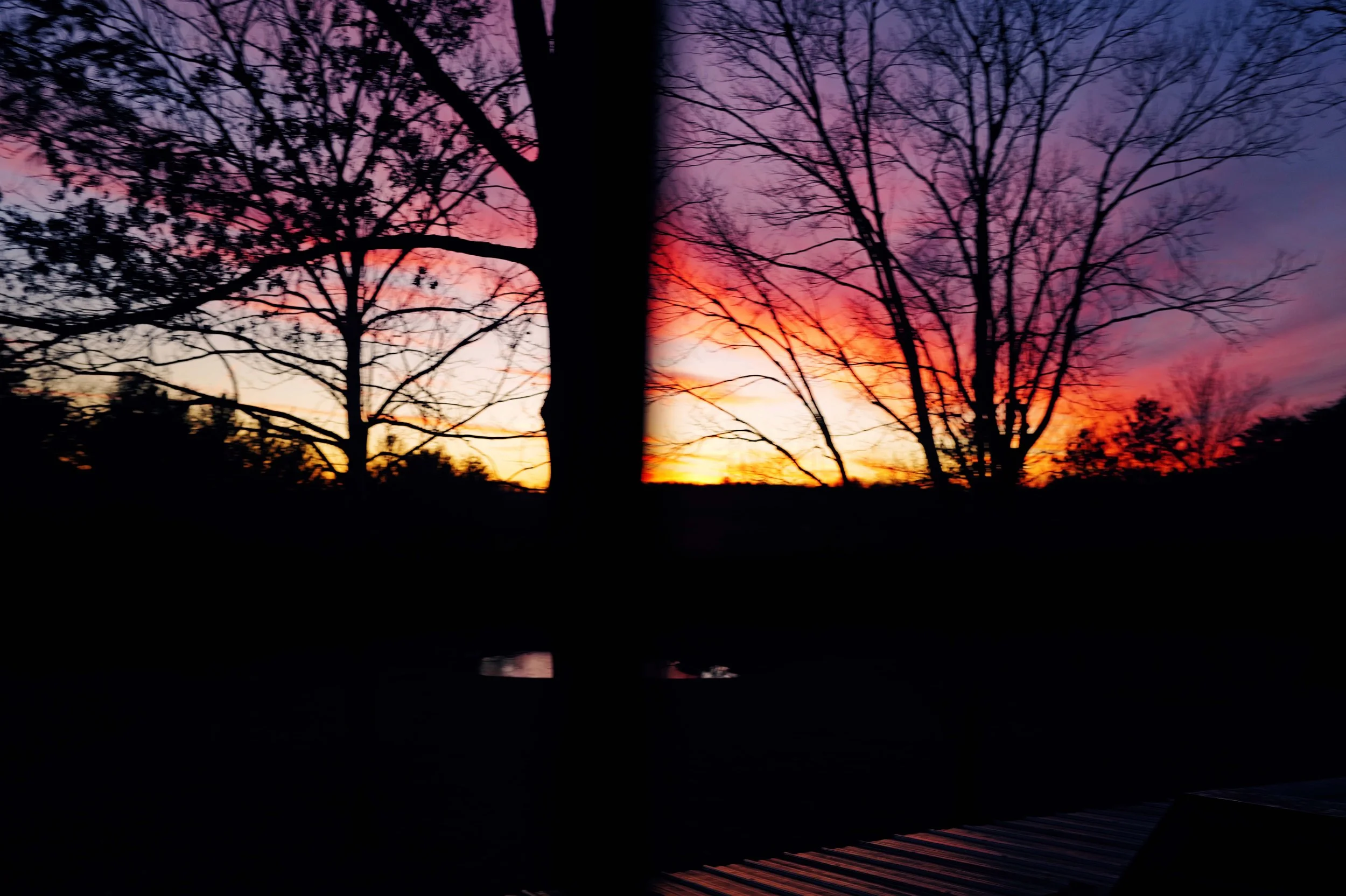L1050110.jpg