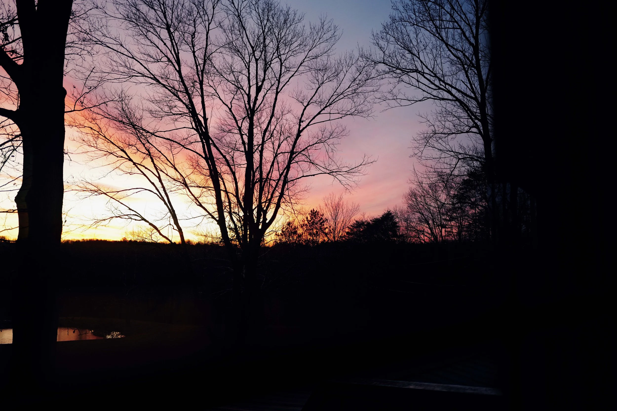 L1050129.jpg