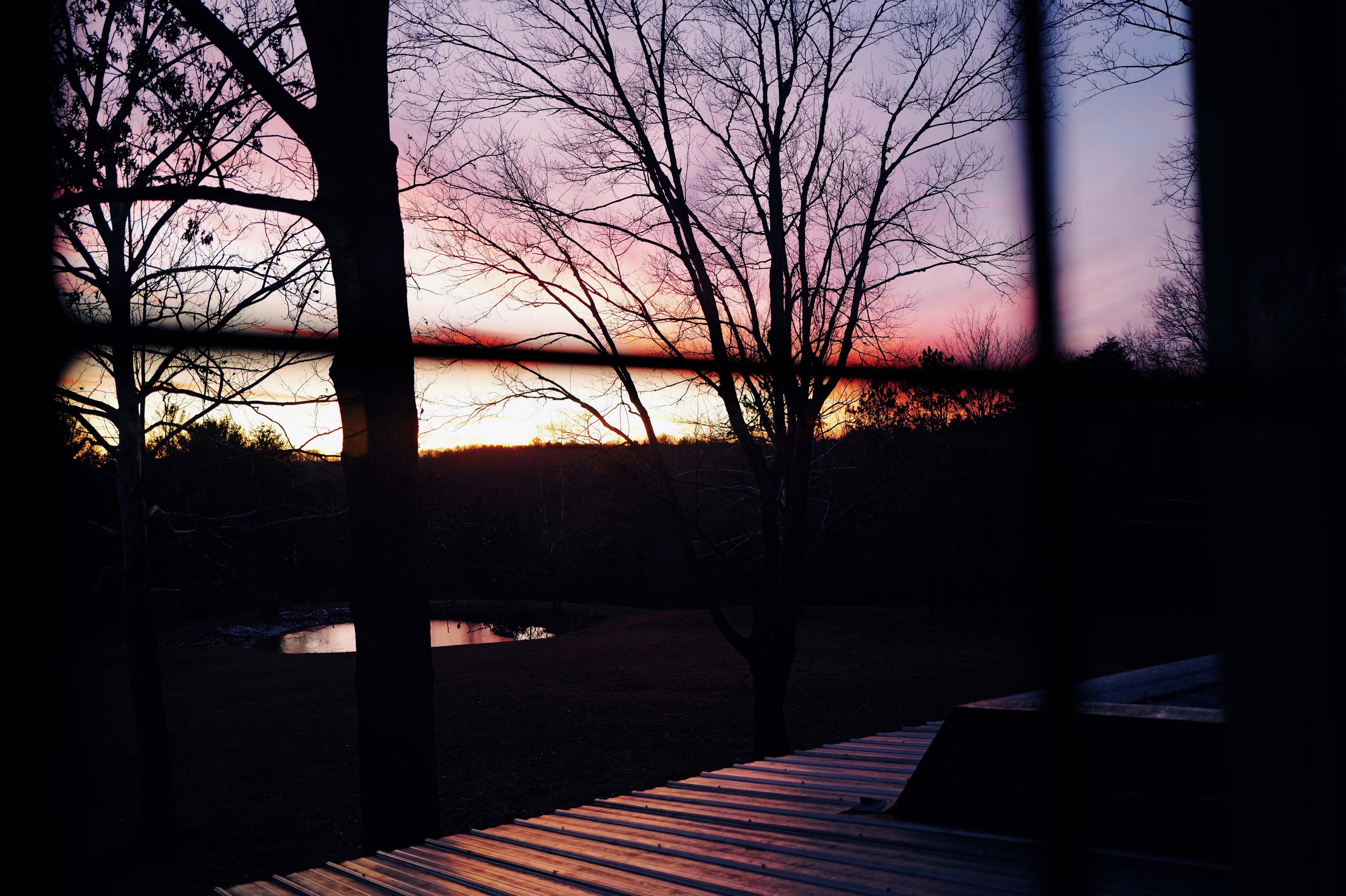 L1050142.jpg