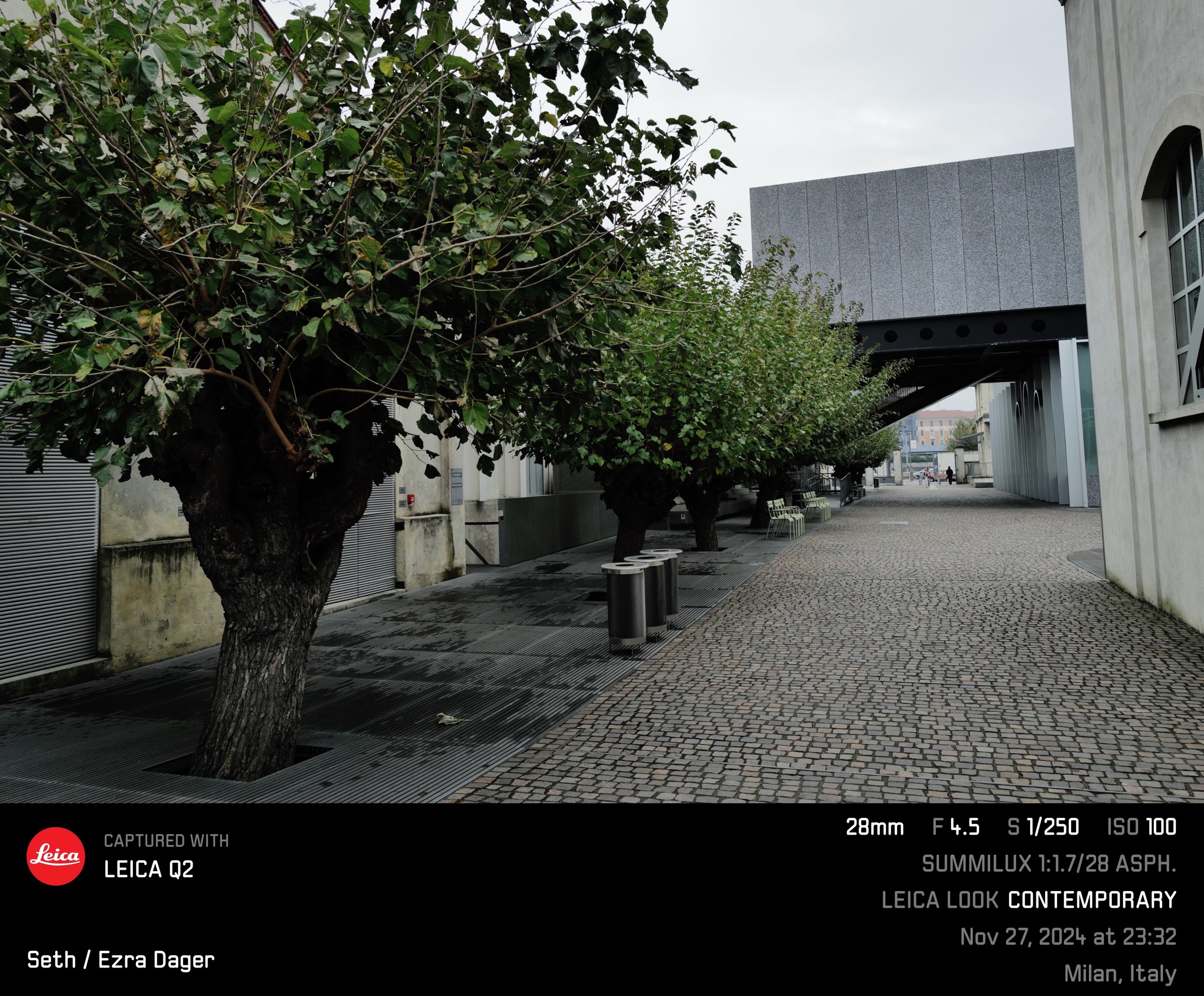 IMG_9746.jpeg