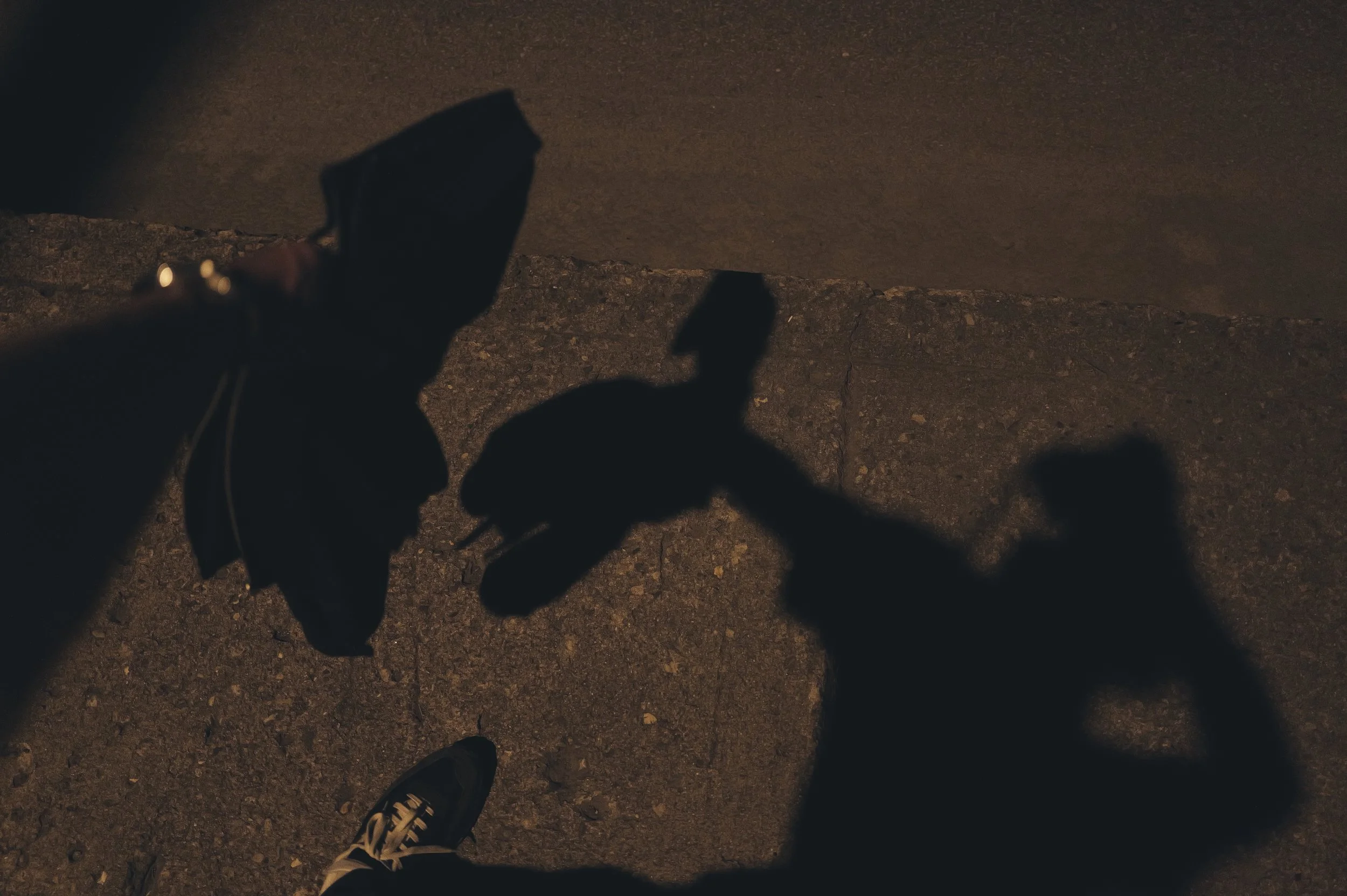 Shadow Studies