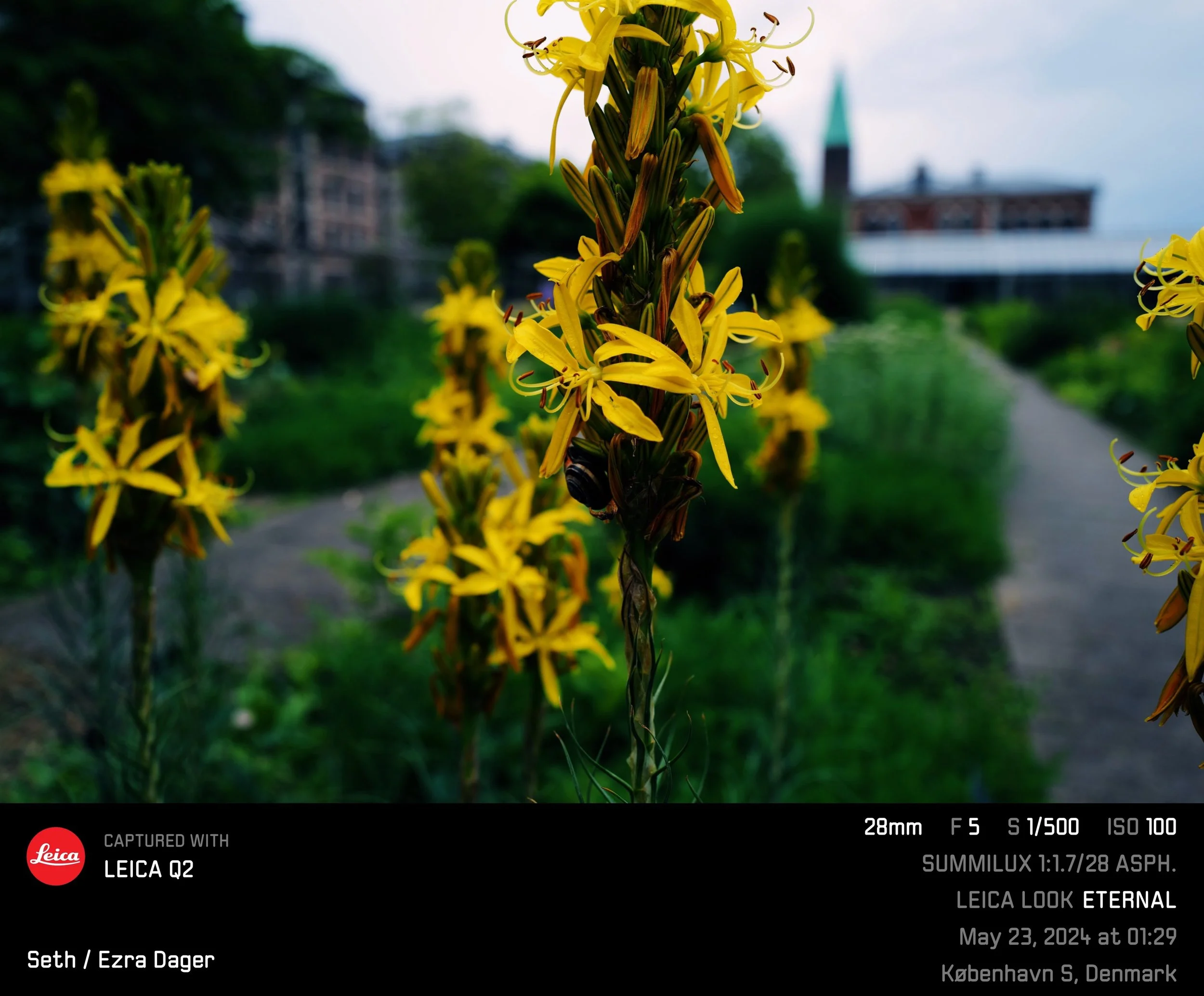 IMG_9683.jpeg